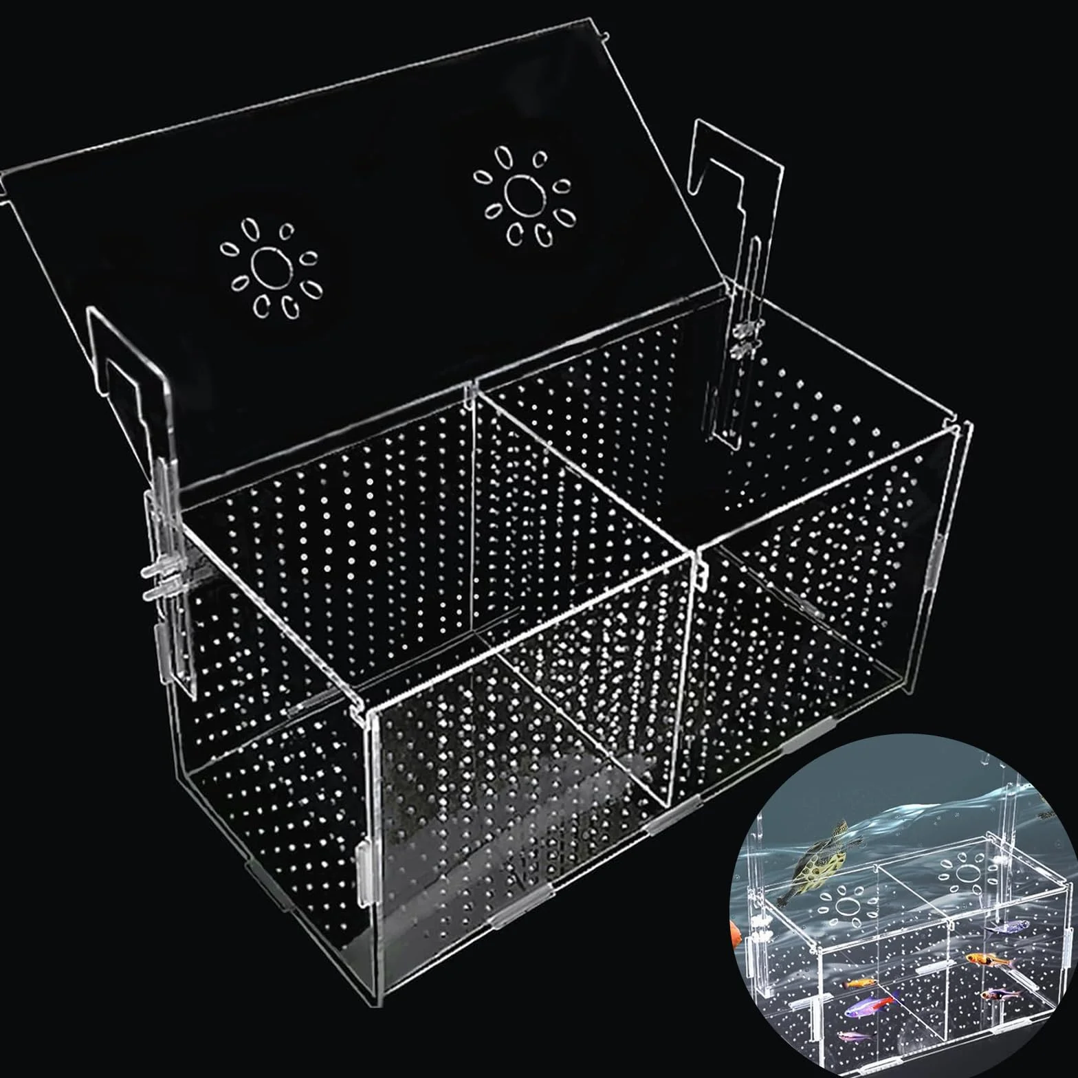 Sala parto guppy Sala Parto Pesci Acquario Salas Parto Acquario Piccola Scatola di Allevamento per Acquari può Essere utilizzato per L'isolamento la Schiusa la Piscicoltura ecc