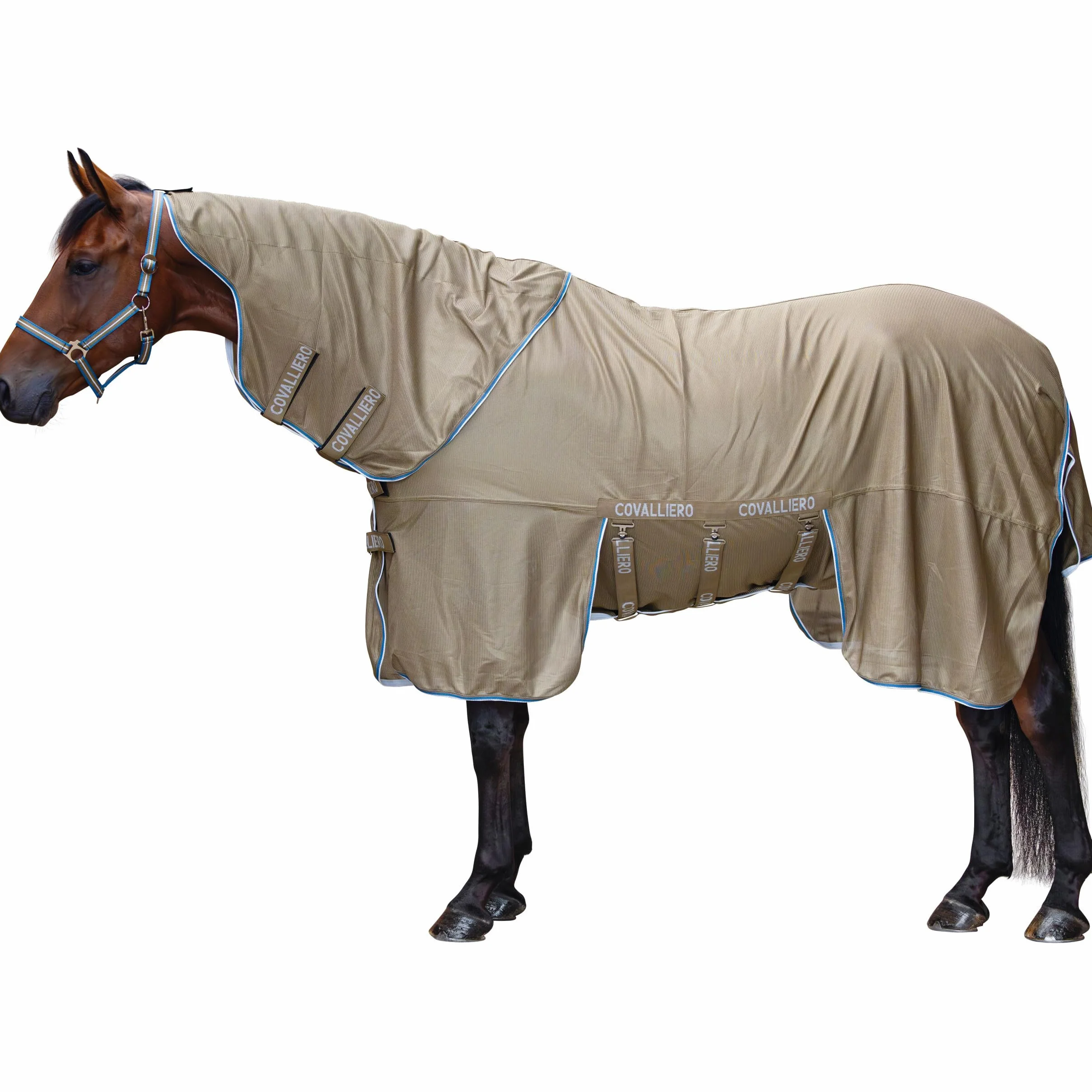 COVALLIERO Coperta per mosche FS26, con collo rimovibile, resistente ai raggi UV e traspirante, protezione completa per il vostro cavallo (165)