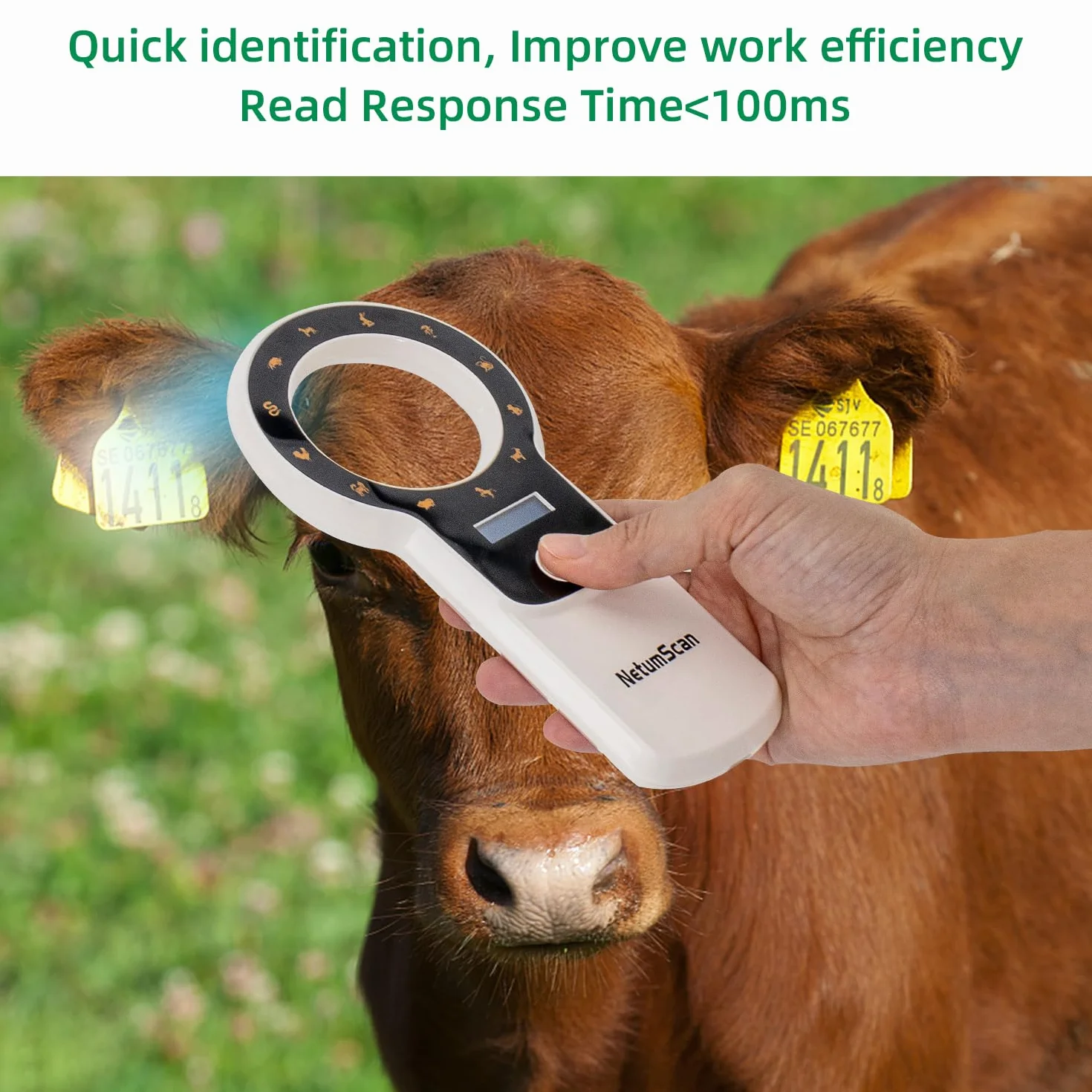 NetumScan Lettore di microchip per animali domestici aggiornato,256 dati memorizzati Scanner portatile ricaricabile per etichette identificative di animali domestici per FDX-B e ID64 RFID EMID DJ-260C