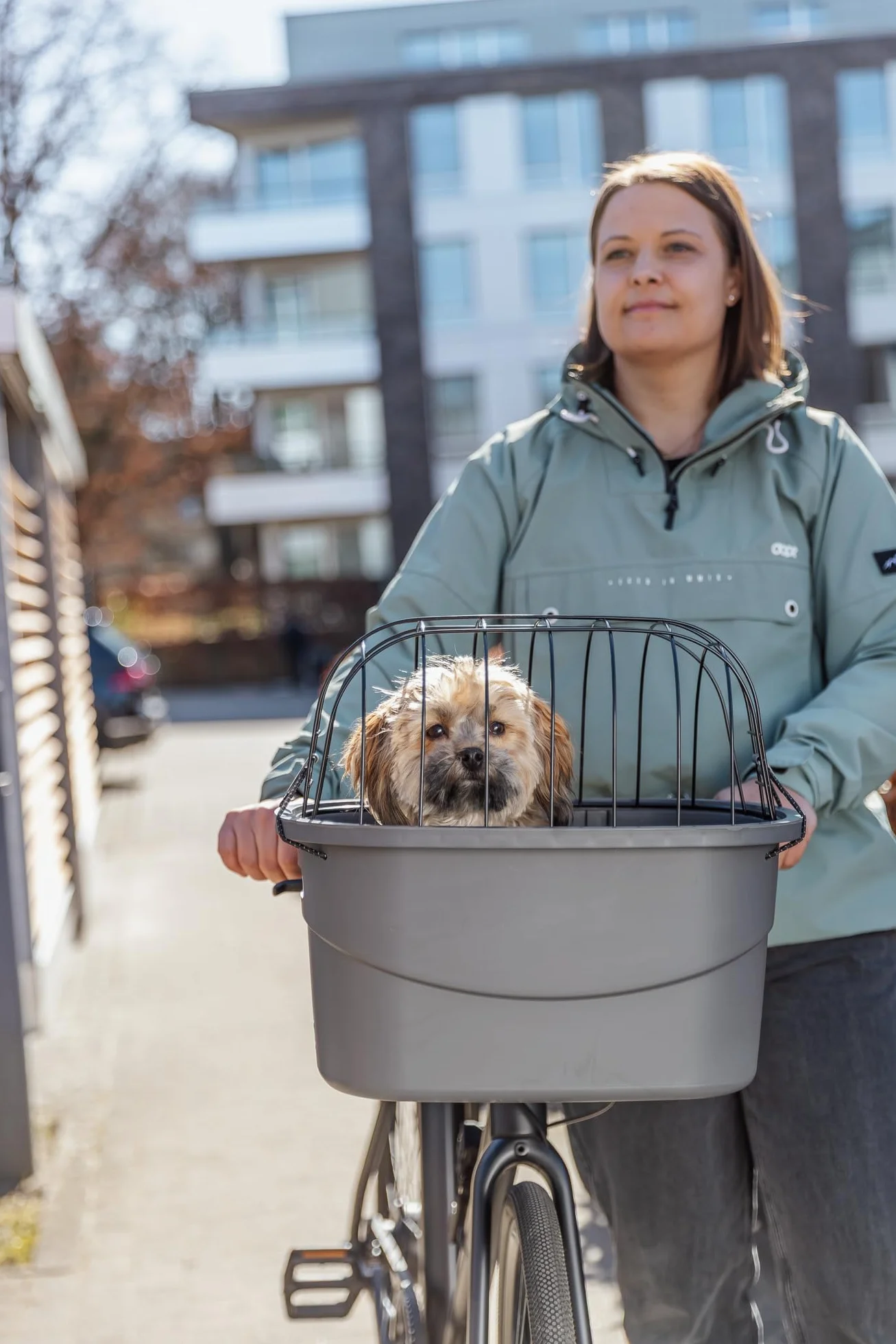 TRIXIE 13096 - Cestino per cani anteriore fino a 5 kg 42 × 39 × 30 cm - Cestino per bicicletta per il manubrio - in plastica e griglia con fissaggio rapido