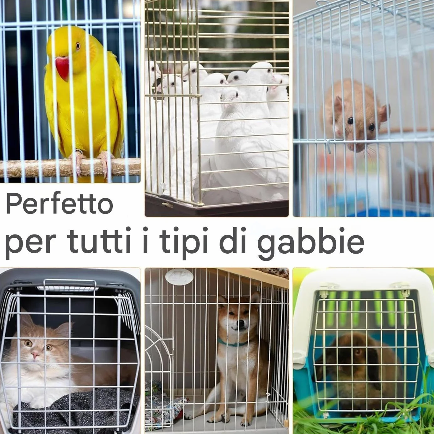 Accessori Pulizia Gabbie Uccelli - Raschietto Escrementi Kit Completo Spazzola Voliera
