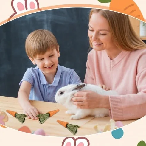 Crocchette da masticare per conigli - Biscotti all'erba alfalfa e carota per piccoli animali domestici - Snack di fieno di fleolo per conigli, porcellini d'India e criceti - Giocattoli da mas