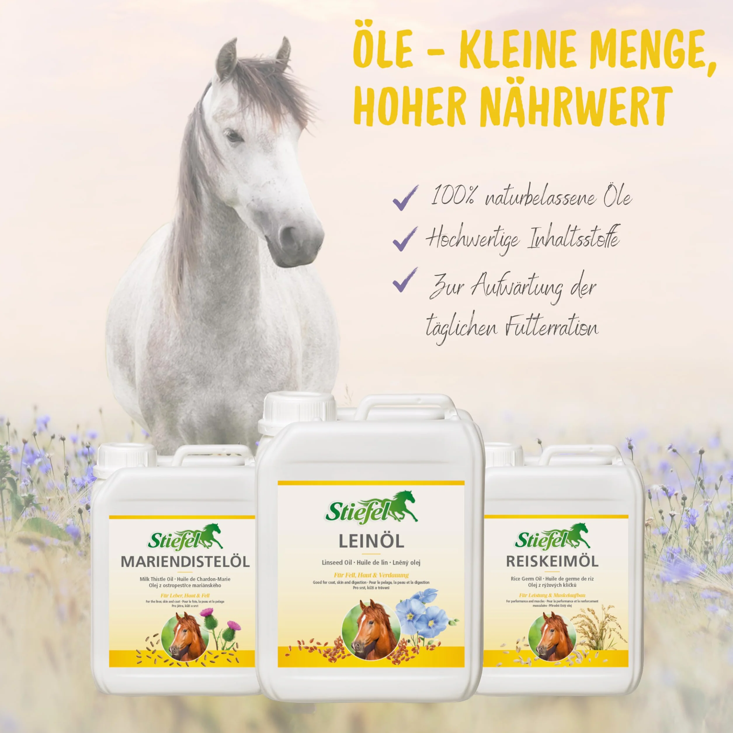 Stiefel Linseed Oil 5 l
