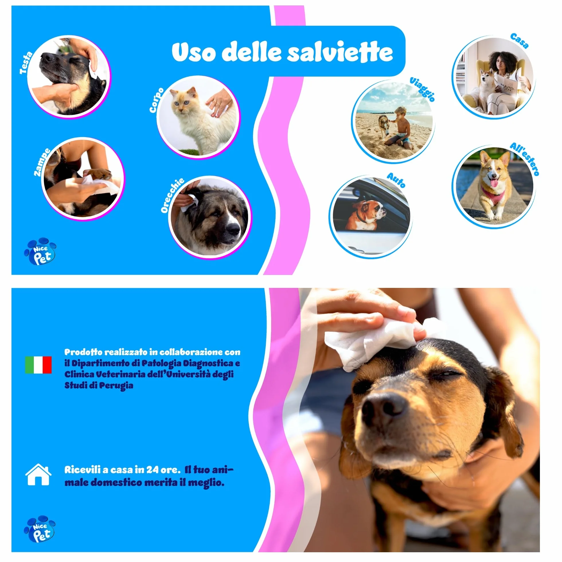 Nice Pet Salviette Multiuso Detergenti Igienizzanti per Cani e Gatti 100 Salviette Umidificate