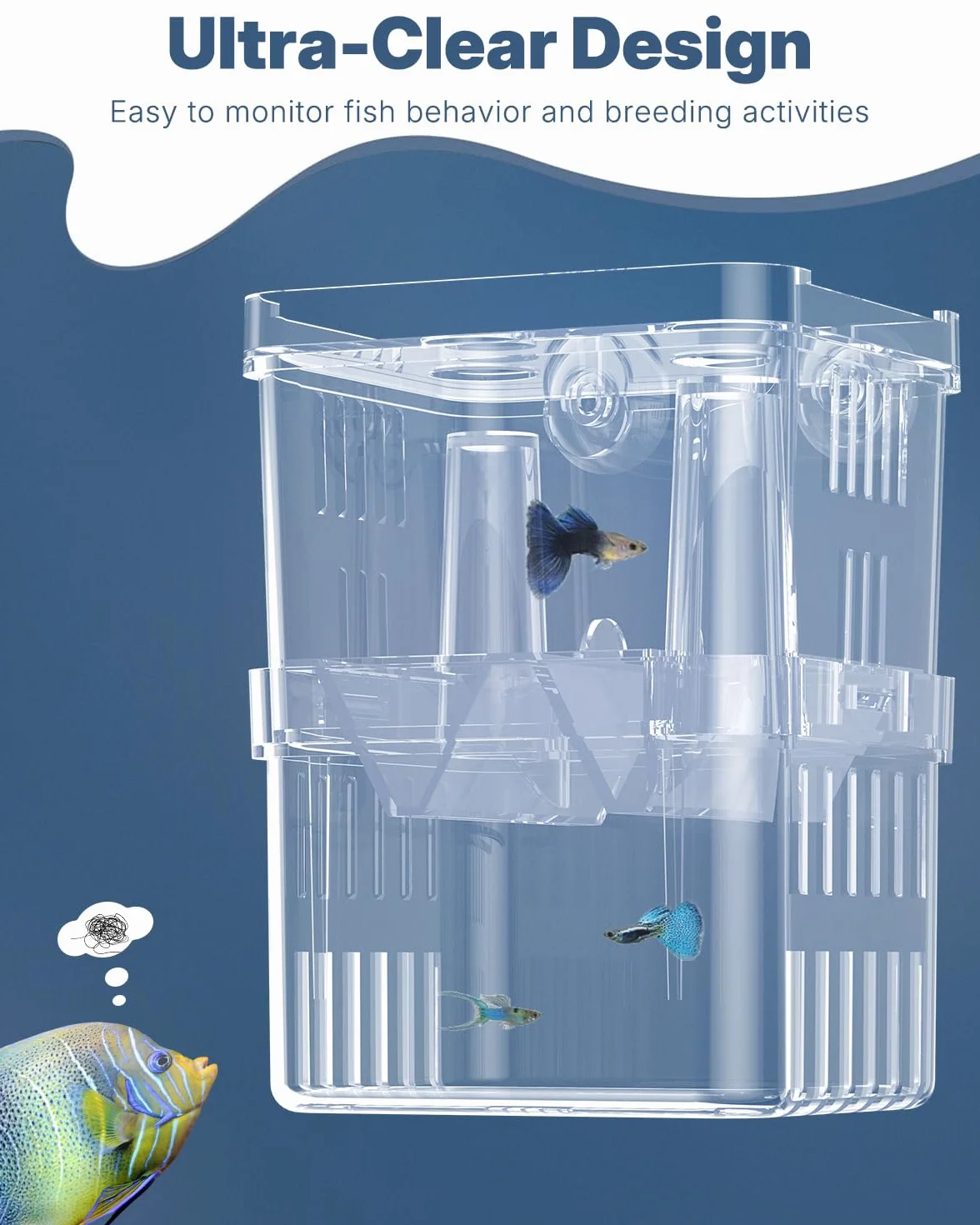 Pawfly acquario pesce allevamento box trasparente plastica Breeder Box per serbatoio di pesce avannotti incubatore incubazione Box per pesci aggressivi Guppy