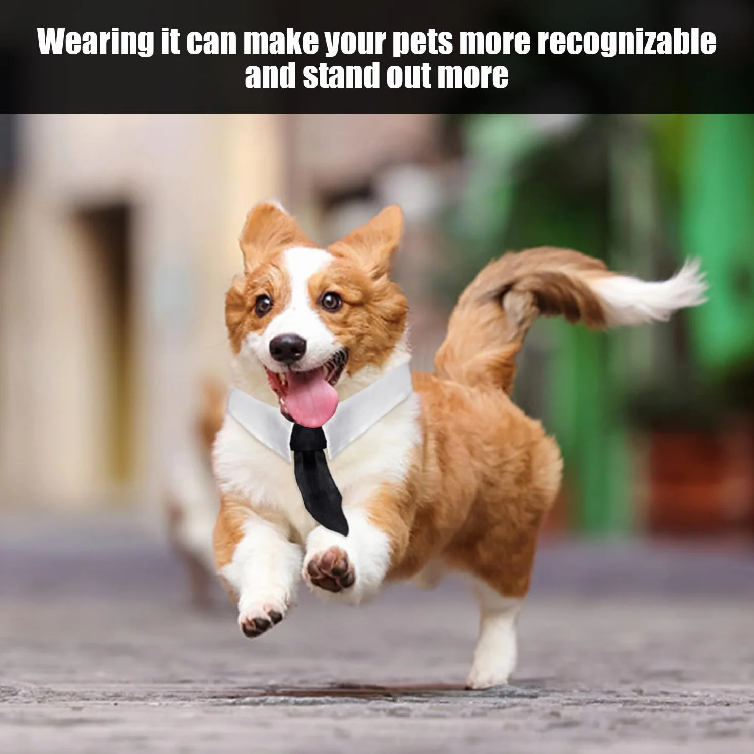 Confezione da 2 Fiocchi Neri, 2 Pezzi Cravatte Nere Tinta Unita, Collari Papillon per Animali Domestici, Vestiti per Cani E Gatti, Accessori per Abiti da Festa per Animali Domestici