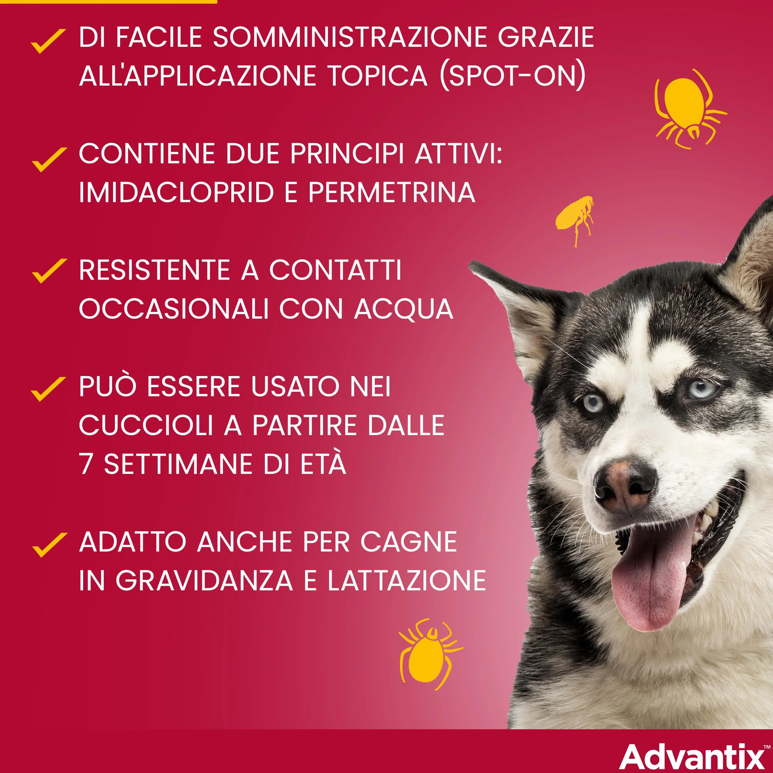 Advantix Spot-on Antiparassitario per Cani 10-25 kg, 4 Pipette 2.5 ml, Elimina Zecche Pulci e Larve