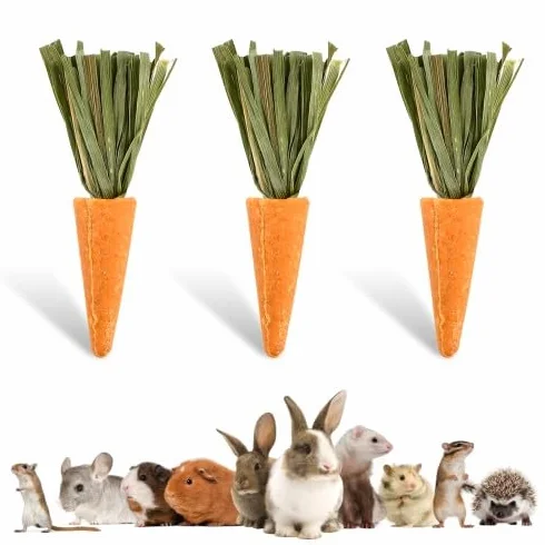 Crocchette da masticare per conigli - Biscotti all'erba alfalfa e carota per piccoli animali domestici - Snack di fieno di fleolo per conigli, porcellini d'India e criceti - Giocattoli da mas