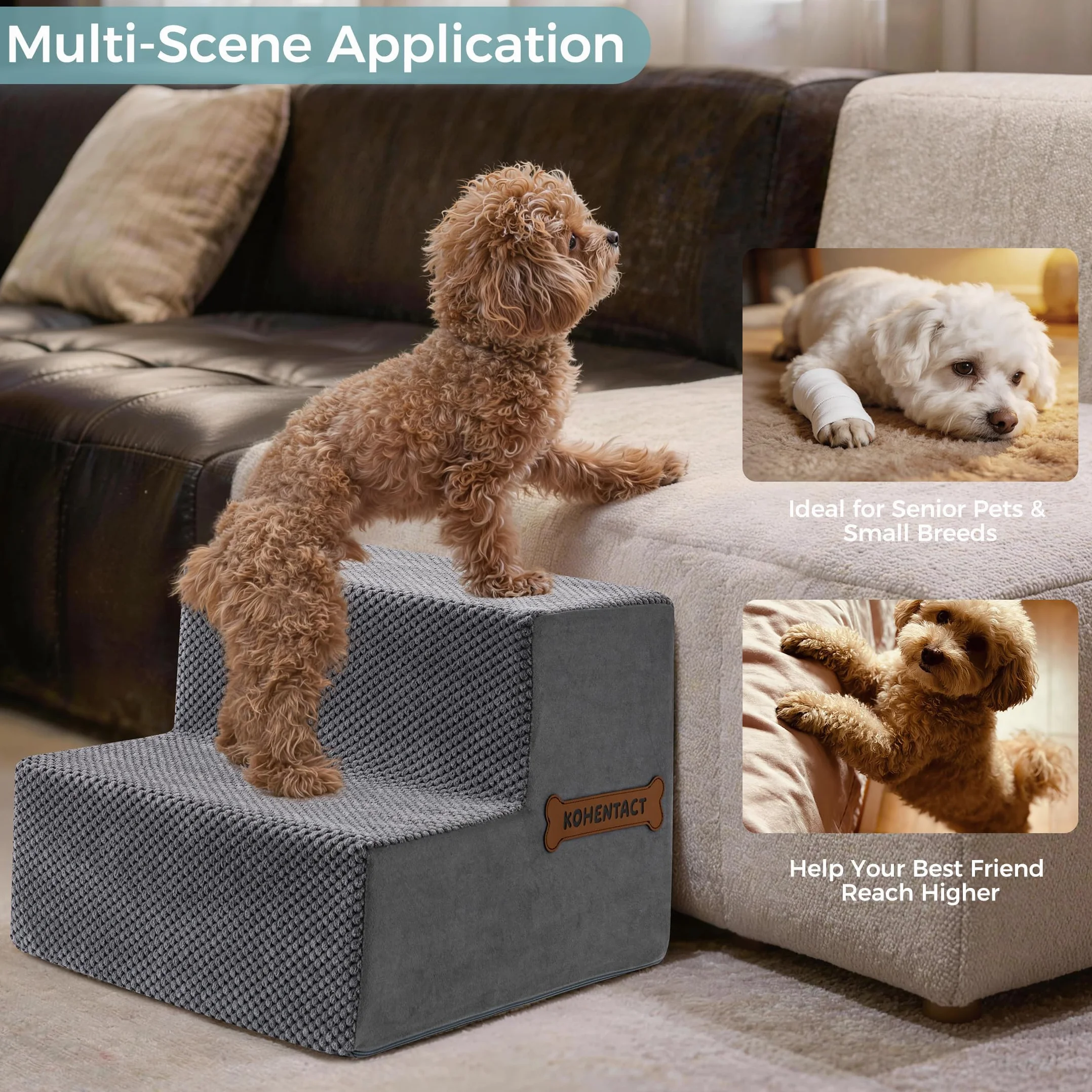 Scaletta per Cani Rampa per Letto 33-61 cm Scala Rimovibile Schiuma 40D Antiscivolo Grigio