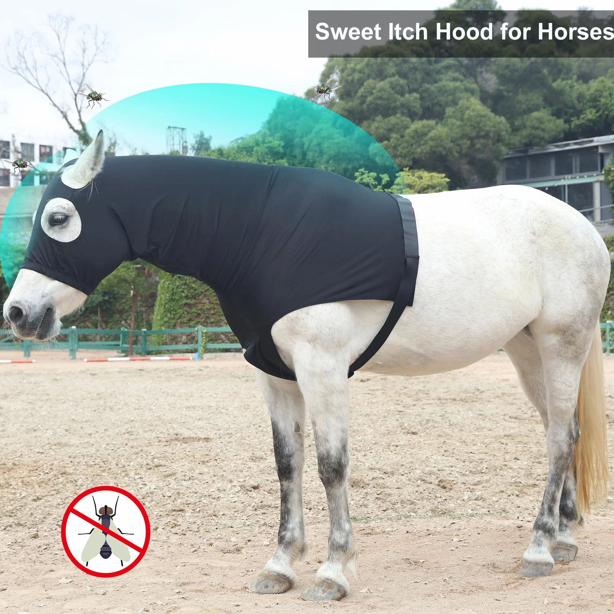 Cappottino da cavallo in tessuto Lycra elasticizzato con cerniera rinforzata e chiusura in velcro regolabile, cappuccio testa di cavallo con copertura integrale per il collo, nero, XXL
