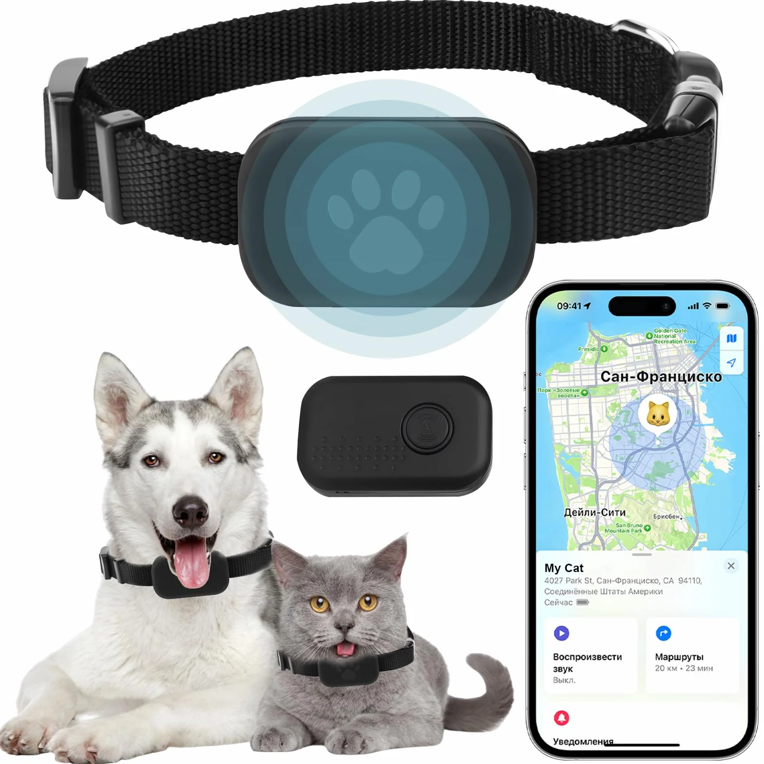 Localizzatore GPS per Gatti e Cani con Collare, Tracker Senza Abbonamento, Compatibile iOS e Android, Collare Regolabile Impermeabile Anti Smarrimento per Animali