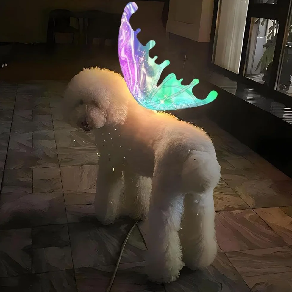 Ali di farfalla a LED per cani, ali incandescenti con luci a LED e musica, elfo con musica per bambini, ali luminose