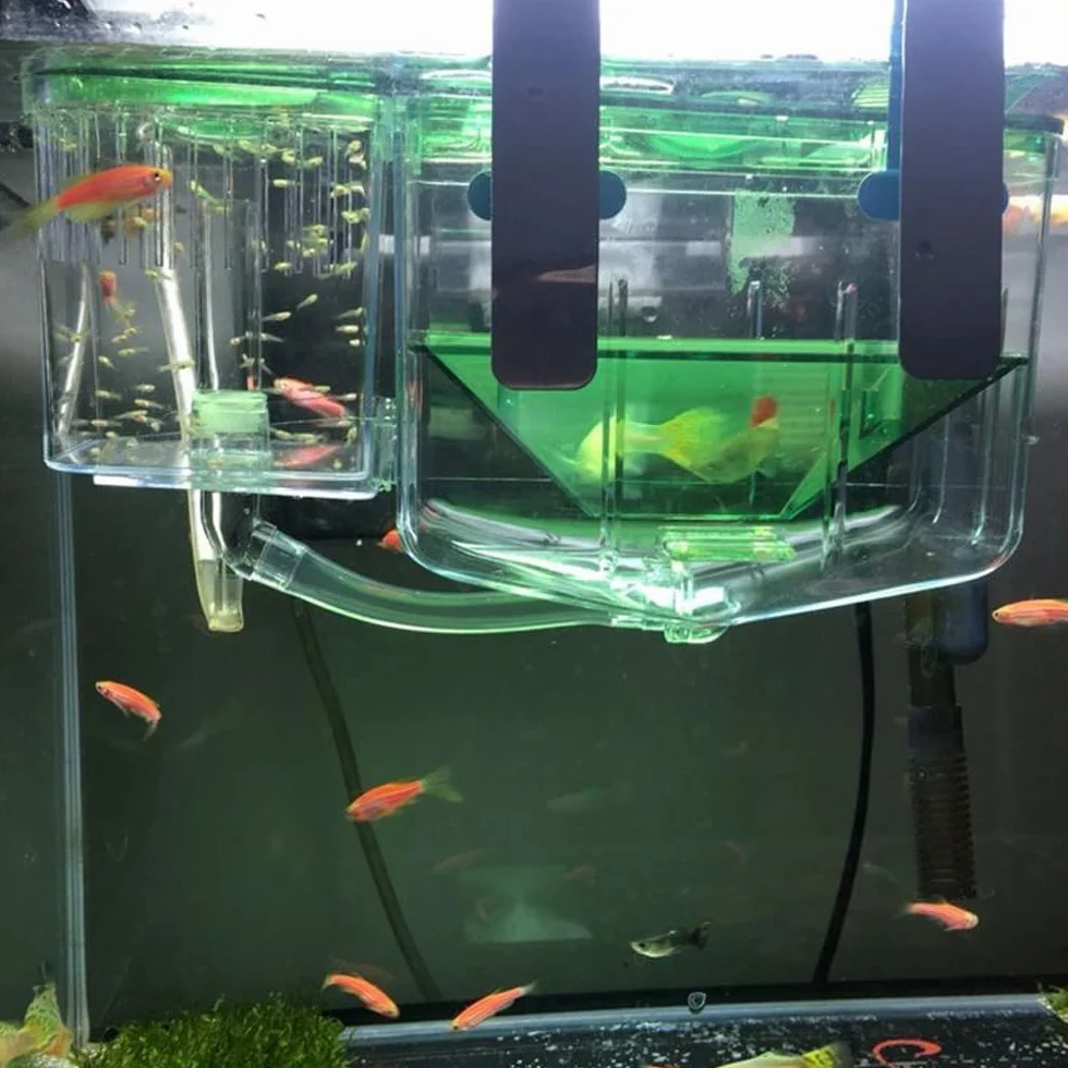 Acquario per Pesci Scatola di Riproduzione Scatola di Riproduzione per Pesci a Doppio Strato Scatola di Isolamento Incubatrice per la schiusa degli avannotti per l'allevamento Incubatrice