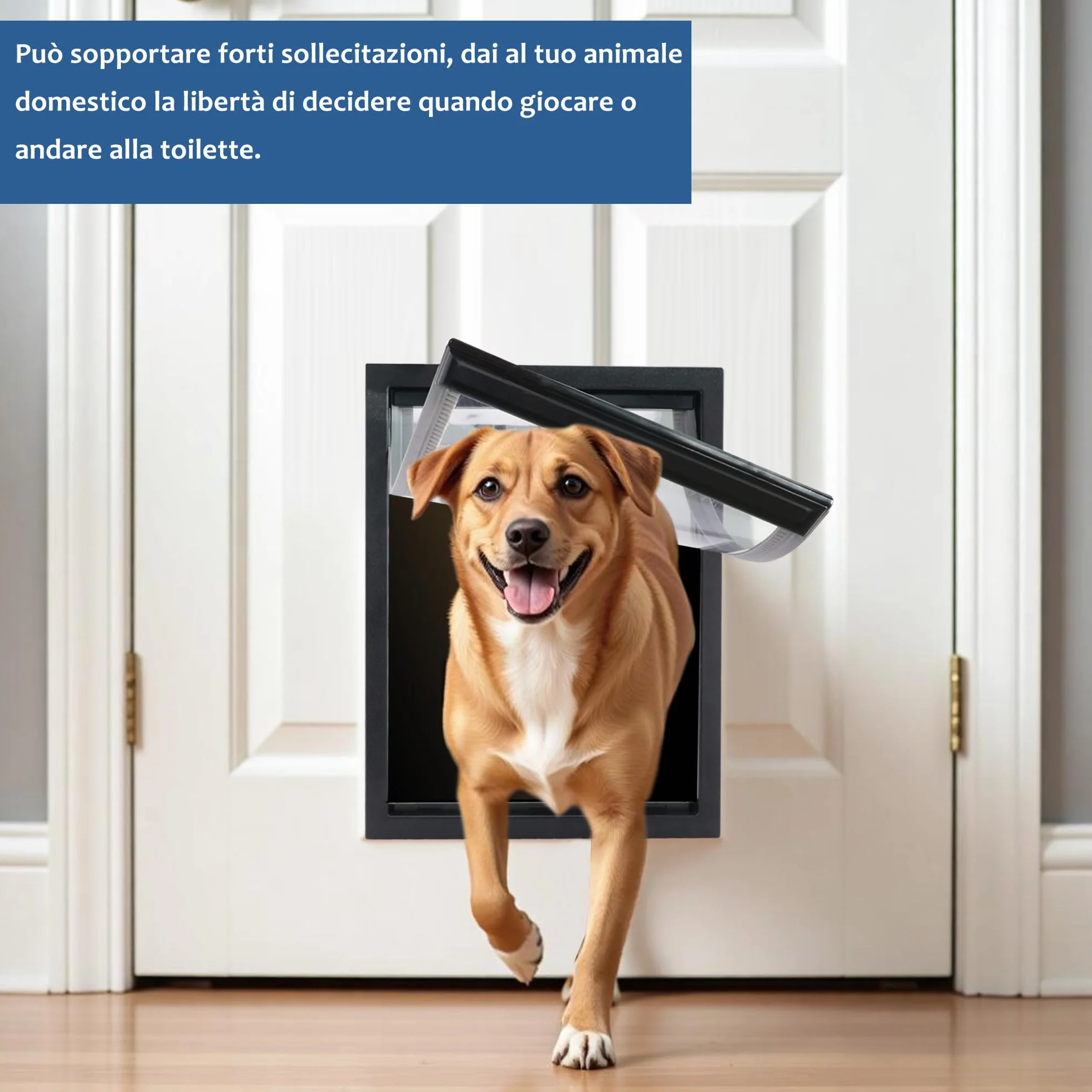 CEESC Porta per cani con patta magnetica trasparente morbida per cani di taglia grande XL nero