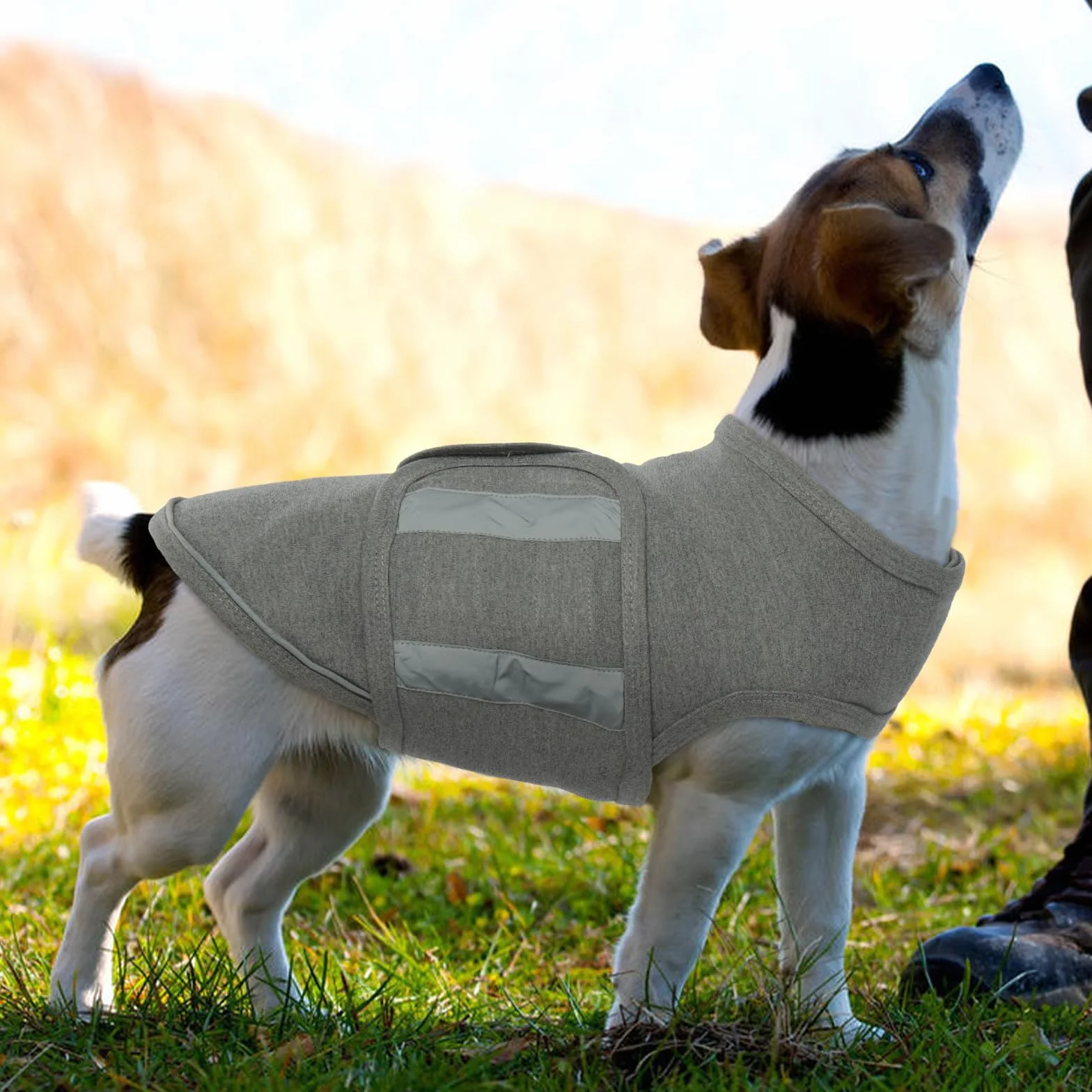 Cane Ansia Cappotto Pet Stress Relief Shirt Traspirante Gilet Sedativo Comfort