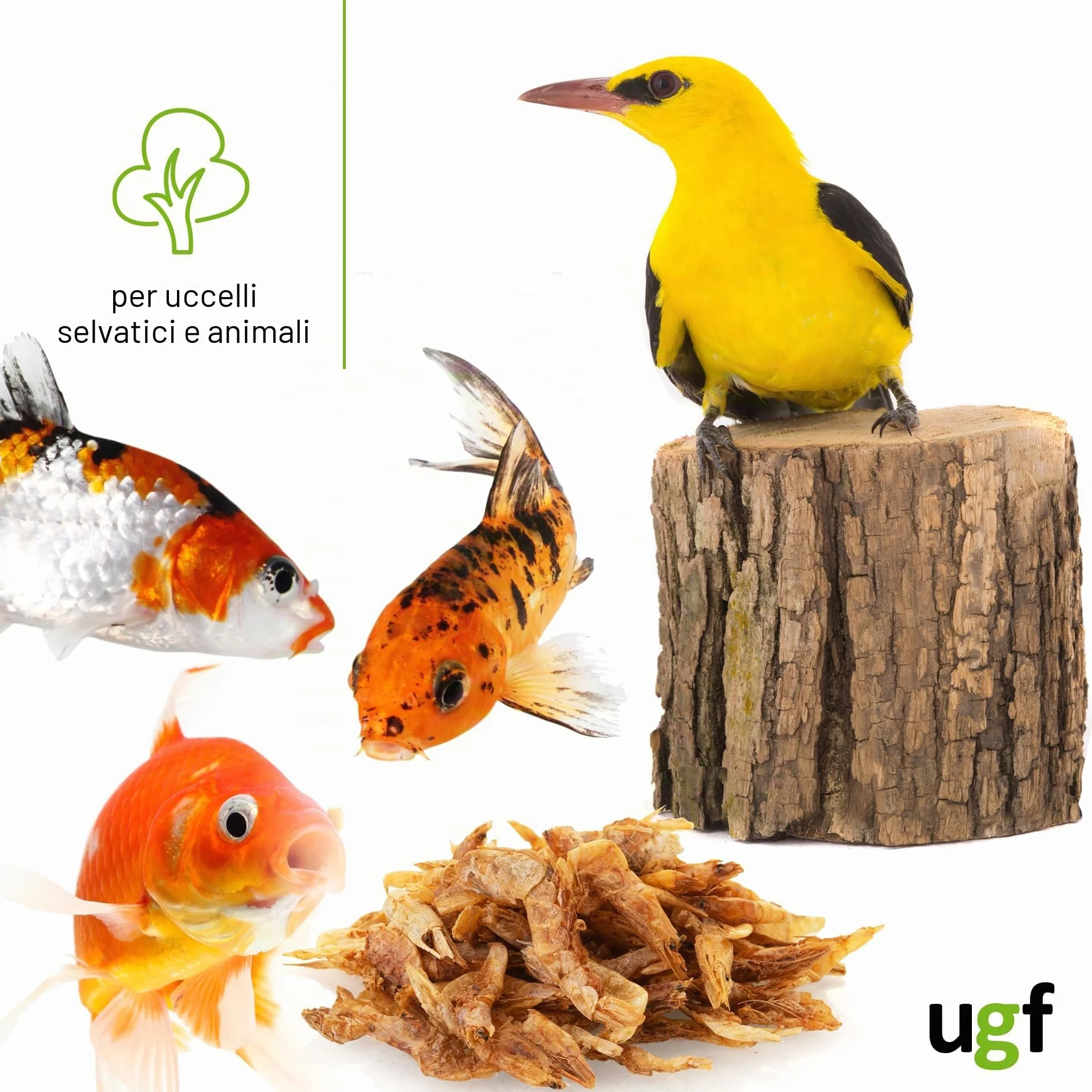 Gamberetti essiccati 75 g cibo per uccelli selvatici snack per cani tartarughe roditori