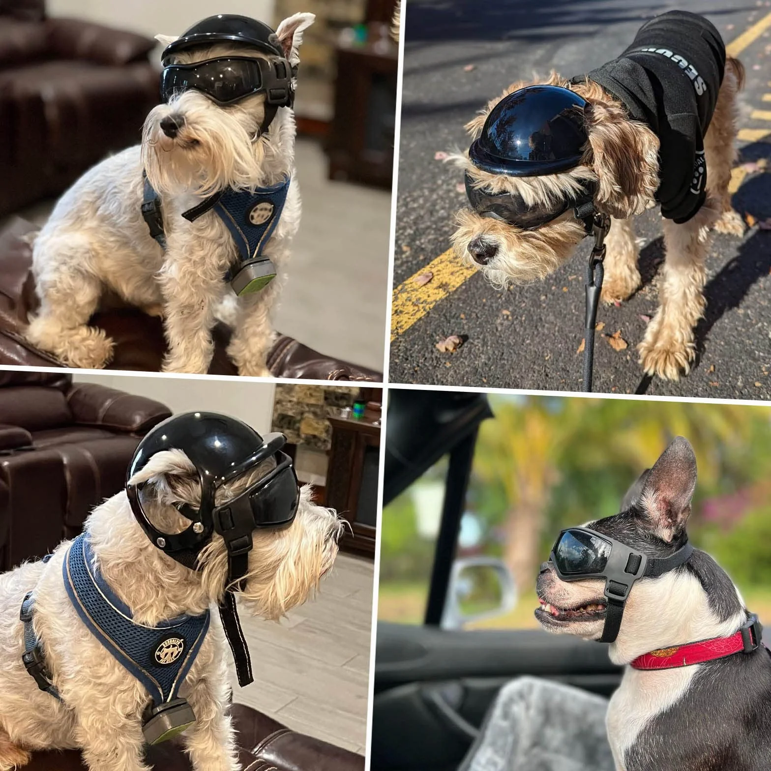 NAMSAN Occhiali anti UV per cani con casco per animali domestici, antivento, per cani di taglia piccola/media