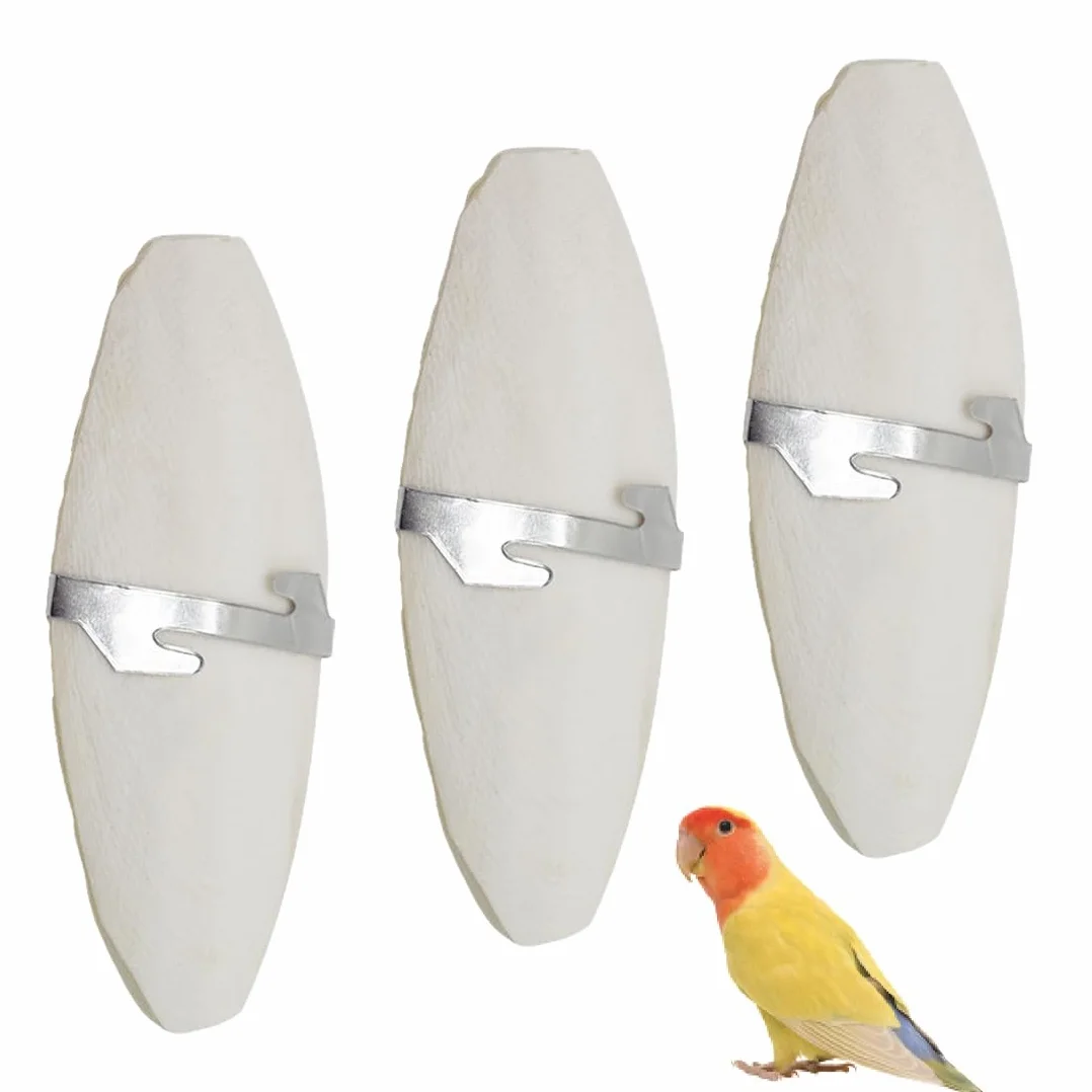 Osso di Seppia Naturale per Pappagalli Tartarughe Uccelli 3 Pezzi con Supporti Metallo 11-13cm