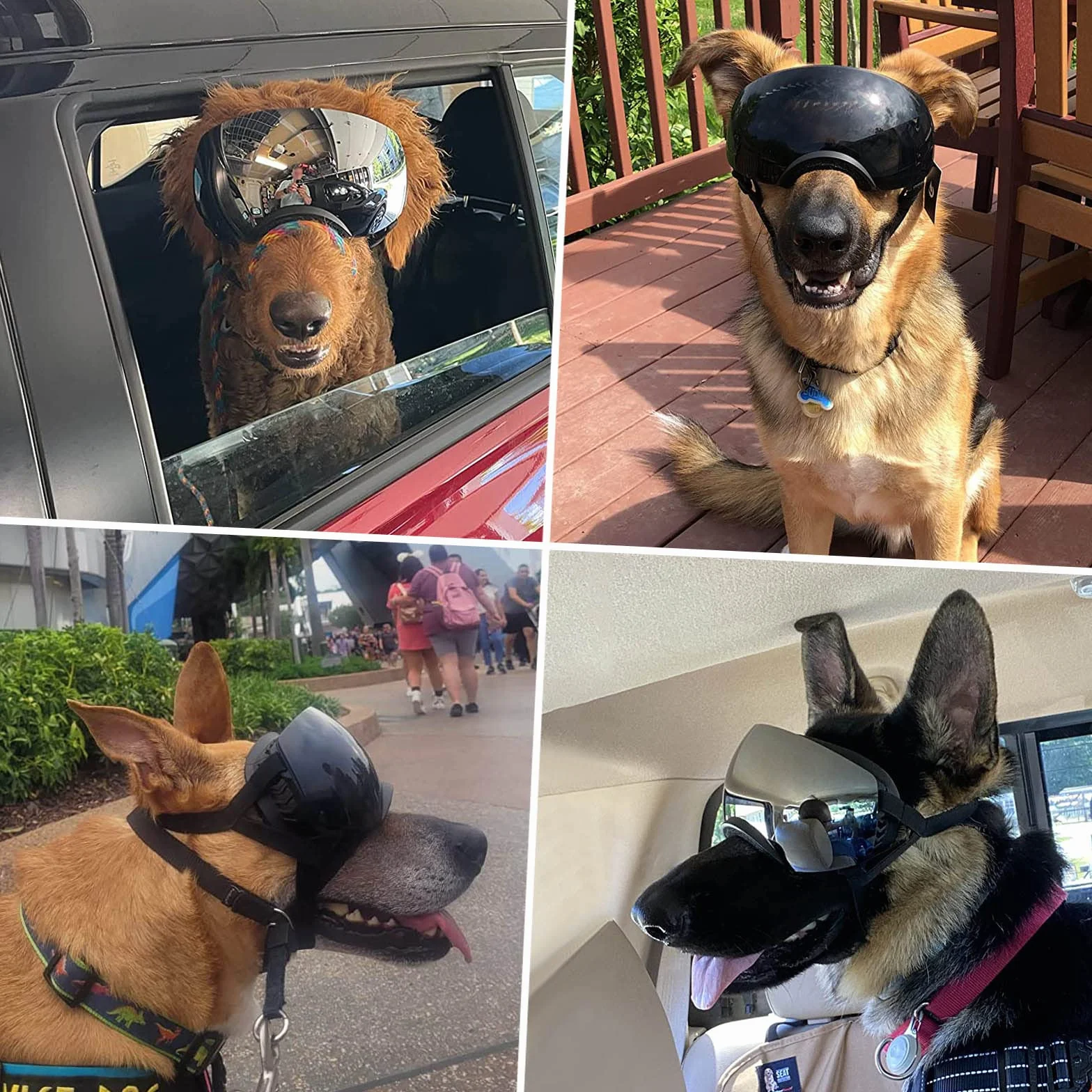 NAMSAN Occhiali da Sole per Cani, Cinturino Regolabile, Protezione UV, Antivento, Anti-Neve, per Cani di Taglia Grande e Media