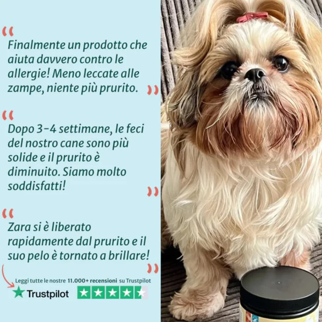 DogSuppy Sollievo Prurito Probiotici Forte per Cani – Ferma Prurito, Grattamento, Leccamento delle Zampe e Mangiare l’Erba, Allevia Allergie e Lieviti, 100% Naturale, Sostiene Intestino e Immunità