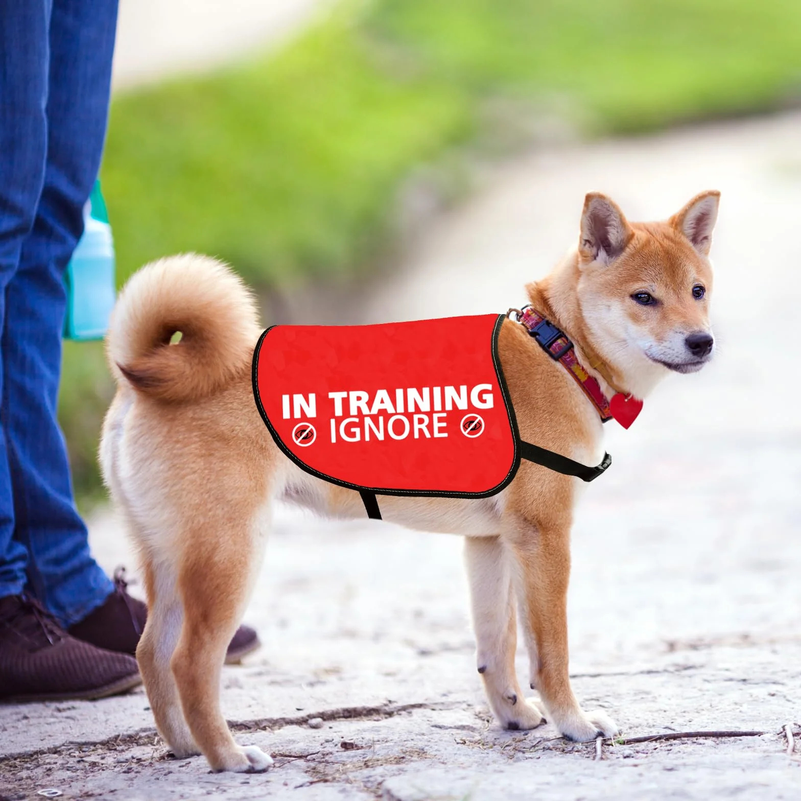 Giubbotto per cani con scritta Nervous Ansious (M)