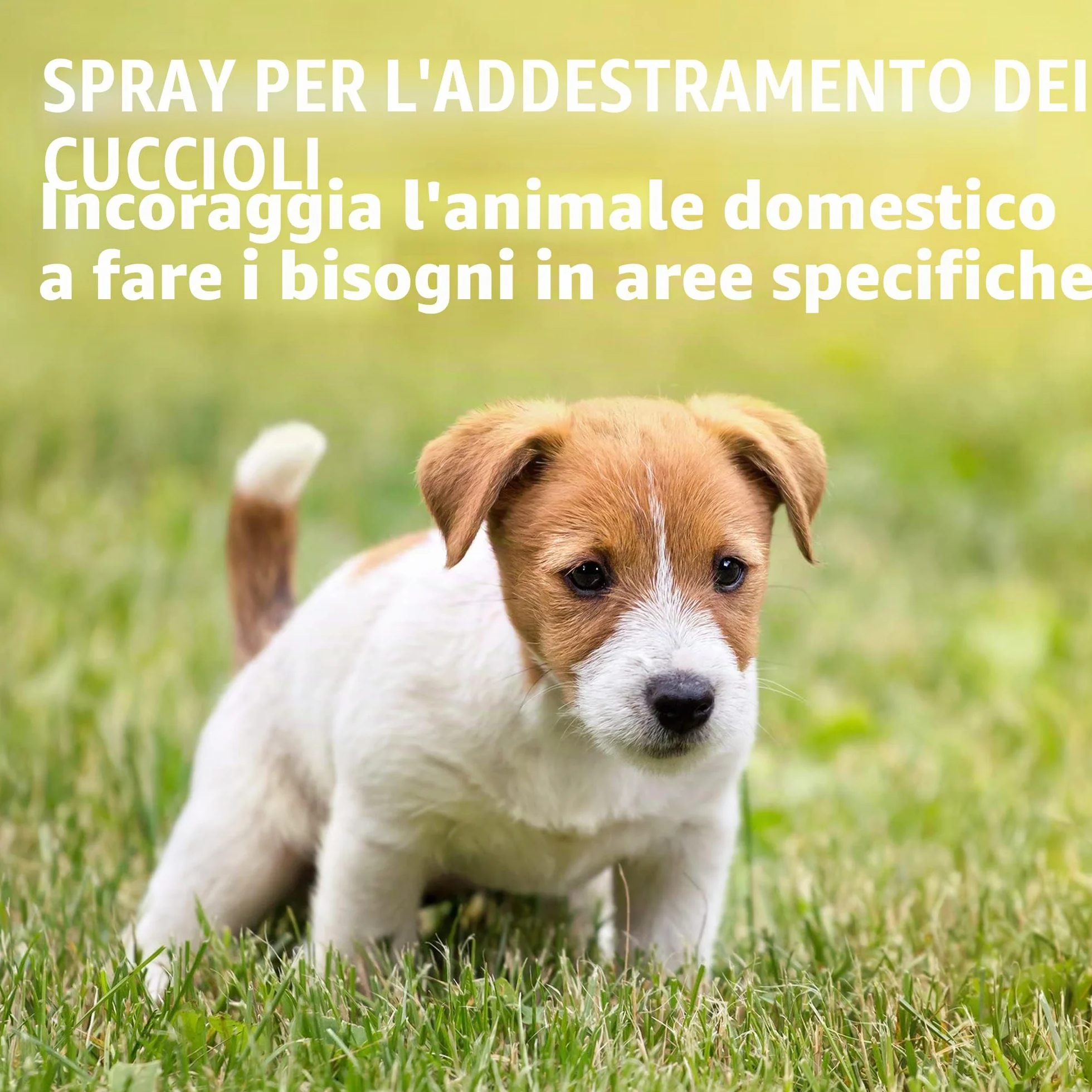 Simple Solution per Cani, Spray Addestramento Cucciolo taglia piccola- 500 ml