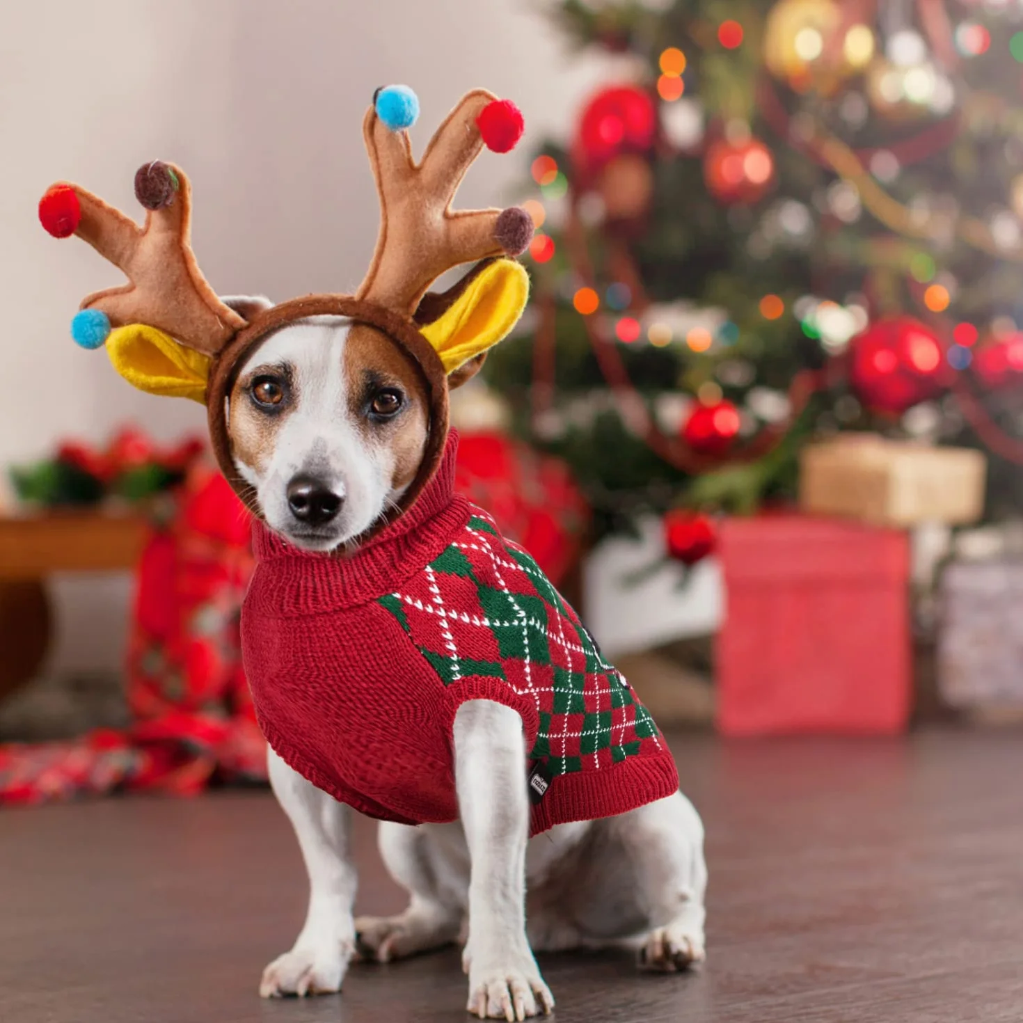 Nobleza Maglioncino Cane Natale Vestiti Gatto Cane Costume Pullover Autunnali per Cani
