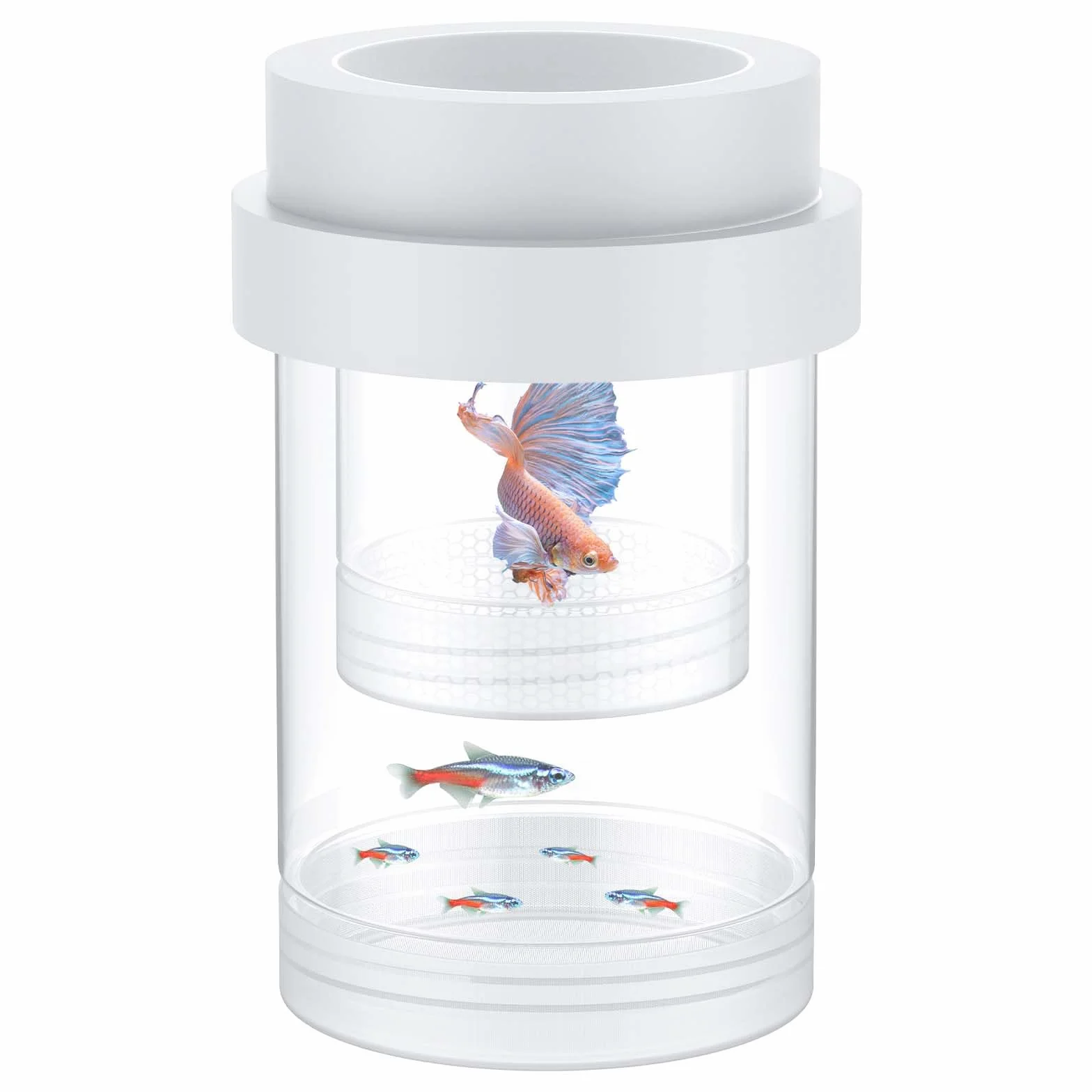 Pawfly Scatola per Riproduzione per Acquario, Box Galleggiante per Guppy, Separatore per Avannotti, Incubatrice in Plastica per Gamberetti, Betta e Pesce Pagliaccio, Medio