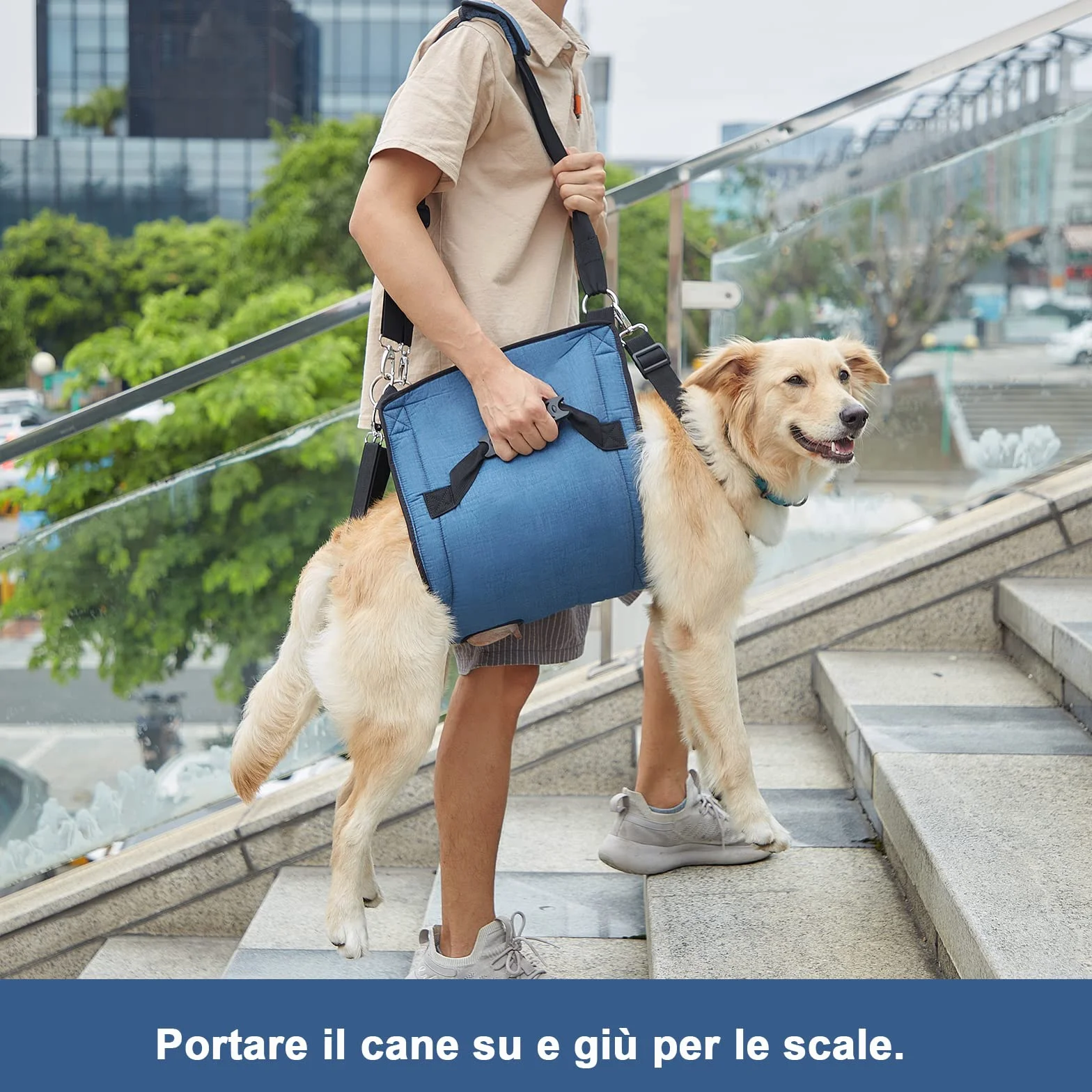 COODEO Dog Carry Sling, Pet Gambe Supporto Dog Lift Harness, Cane Carrier per Cani Artrite XL blu