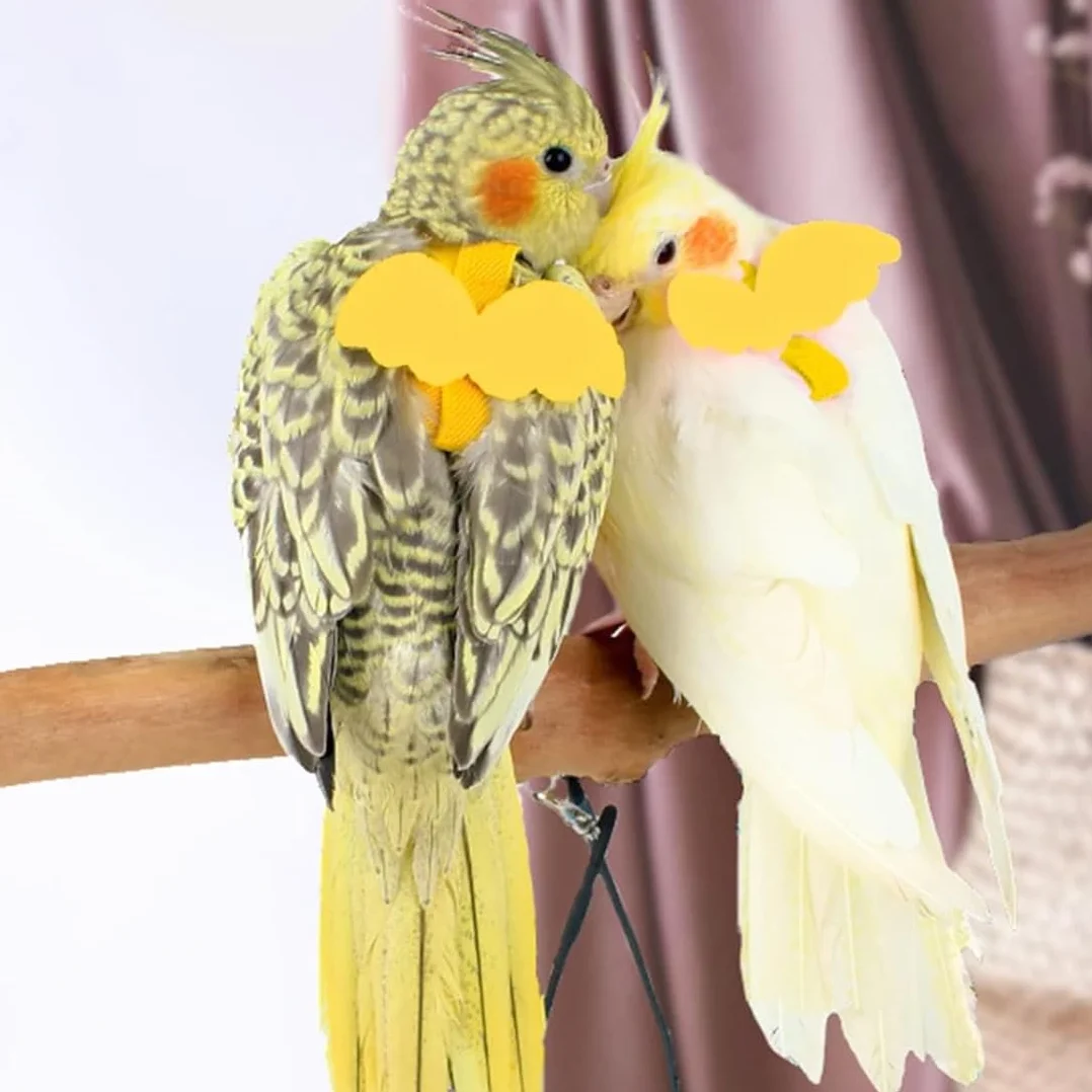 Pettorina e Guinzaglio Regolabile per Pappagalli - Corda da Allenamento per Volo all'Aperto Giallo