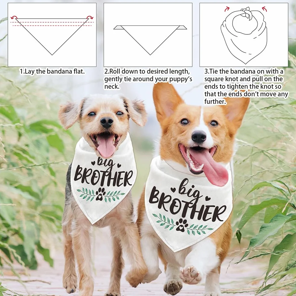 Bandana triangolare per animali domestici in cotone Big Brother