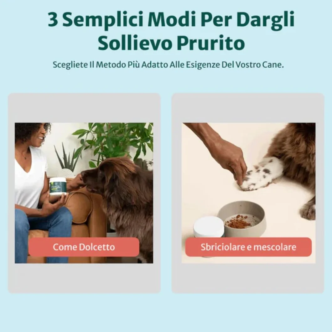 DogSuppy Sollievo Prurito Probiotici Forte per Cani – Ferma Prurito, Grattamento, Leccamento delle Zampe e Mangiare l’Erba, Allevia Allergie e Lieviti, 100% Naturale, Sostiene Intestino e Immunità