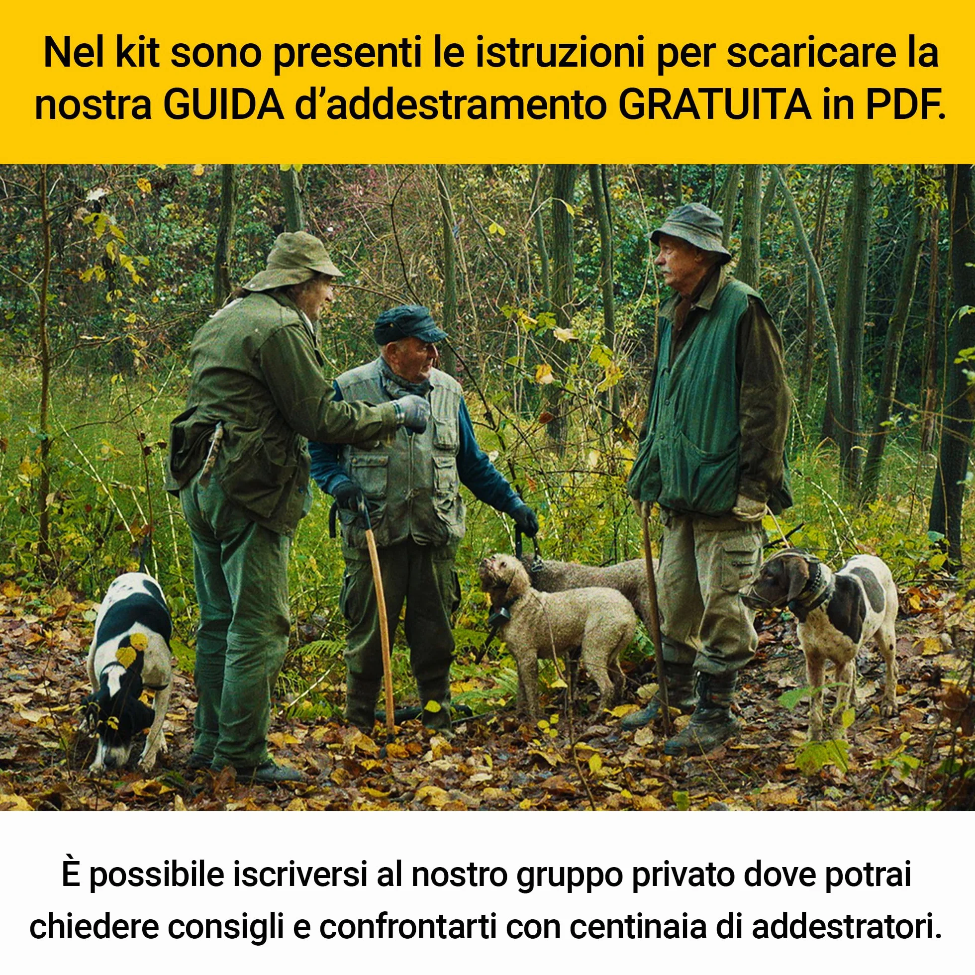 Kit Professionale con Finto Tartufo Nero Completo con Guida e Olio da addestramento Cani Tartufo addestramento Cane da Tartufo, Tartufo Sintetico ovetto per addestramento