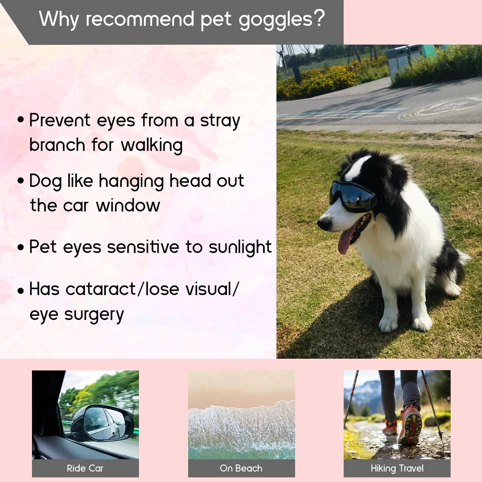 Occhiali da Sole per Cani Badaren Protettivi Uv, Occhiali per Animali Domestici Medio/Grande