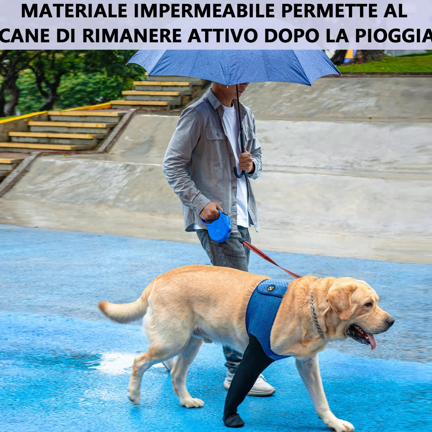 COODEO Calzini Protettivi per Cani Antileccatura, Copri Zampe Antiscivolo Impermeabili (Blu, 3XL Sinistra)