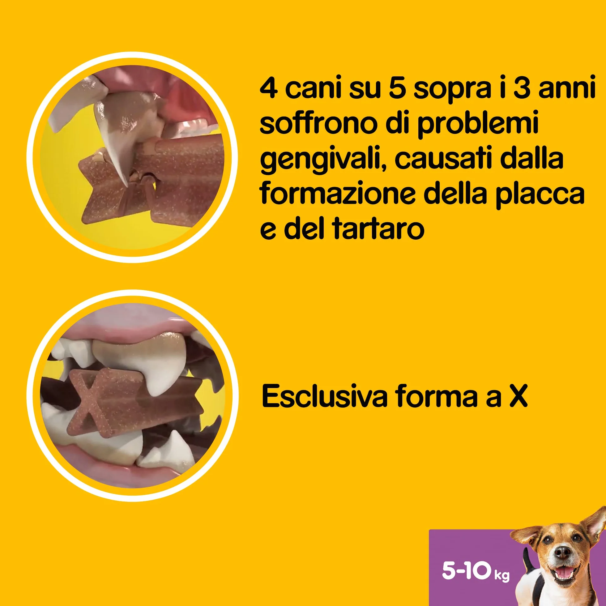 Pedigree Dentastix Fresh 112 Snack per la Igiene Orale (Cane Piccolo 5-10 kg) 440 g 28 Pezzi - 4 Confezioni da 28 Pezzi (112 Pezzi totali)