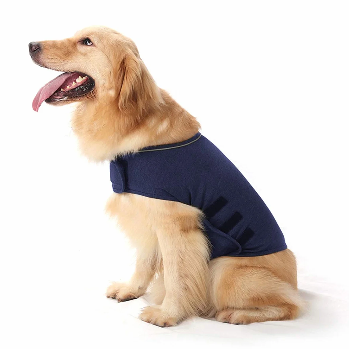 Giacca Calmante per Cani Ansia Sollievo Gilet Lamina Blu mare S
