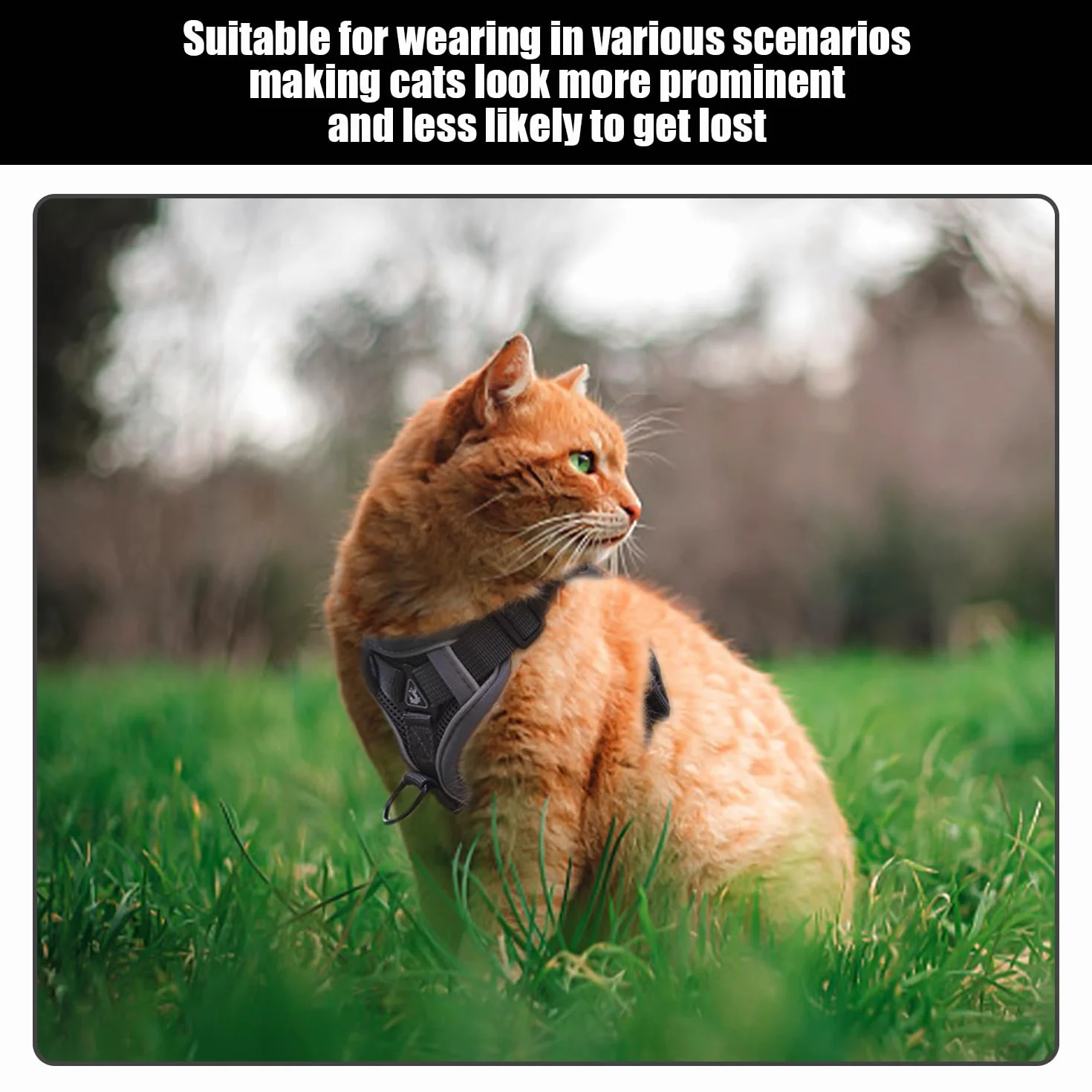 1 Pezzo di Pettorale per Animali Domestici con Guinzaglio, 1 Pezzo di Collare Riflettente per Animali Domestici, Collare per Gatti, Guinzaglio per Camminare All'Aperto.