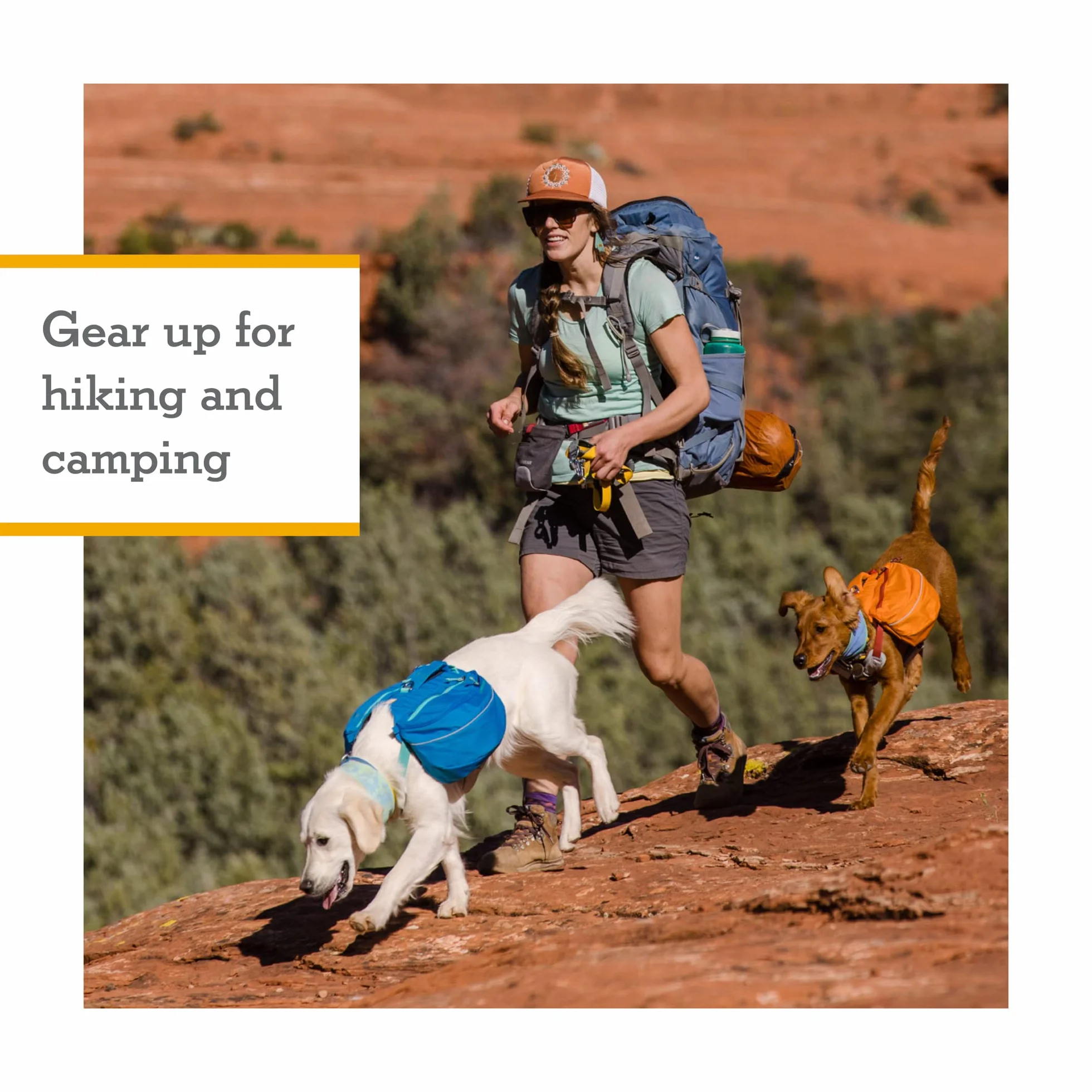 RUFFWEAR Pacchetto Approccio, Zaino per Cani con Imbracatura e Tasche Integrate, Accessorio Leggero da Indossare per Passeggiate con 2 Punti di Attacco per guinzaglio, Blu Crepuscolo (Medio)