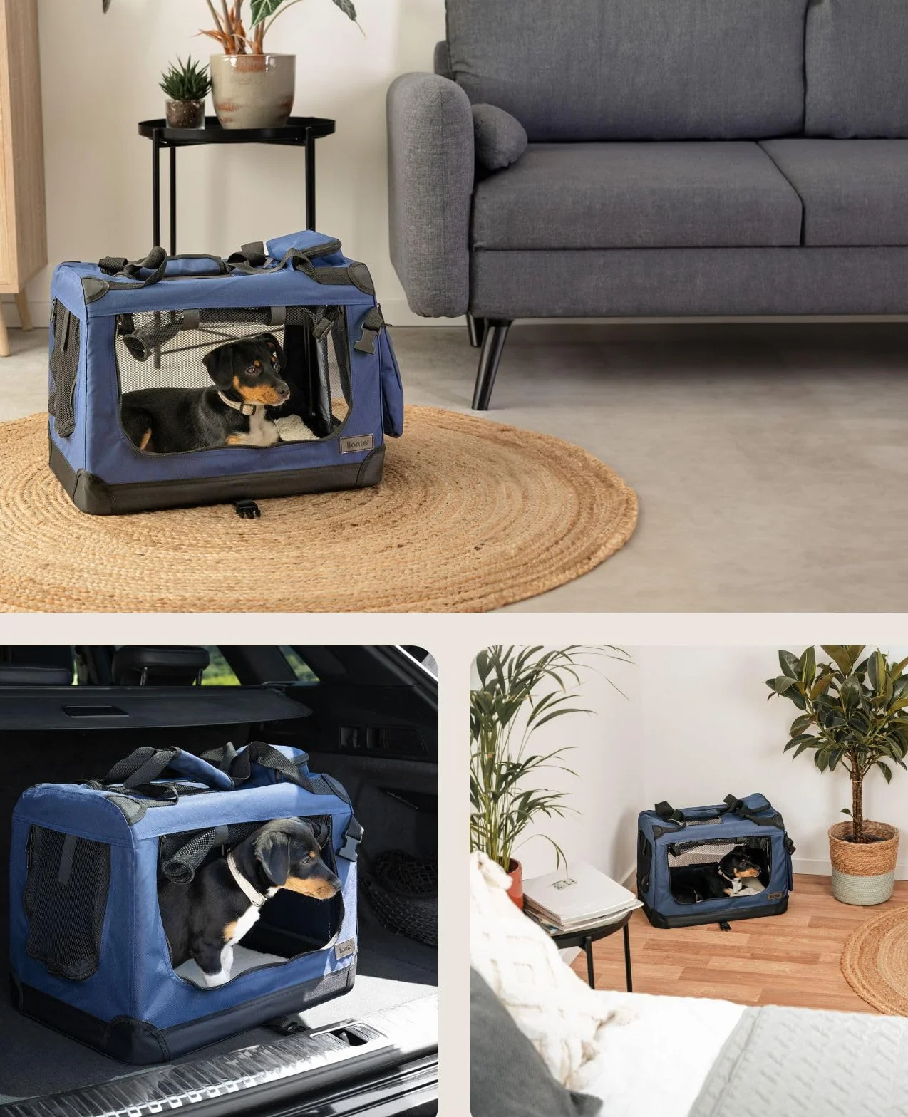 Lionto Borsa trasportino per cani pieghevole 50x34x36 cm box trasporto stabile con maniglie per gatti animali fino a 10 kg tessuto blu scuro