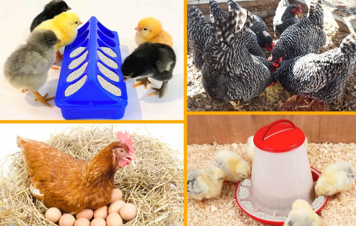 Sabbia Carbonato di Calcio Purissimo Ottimo per Galline Ovaiole in Vaso richidibile e riponibile (25 Kg)