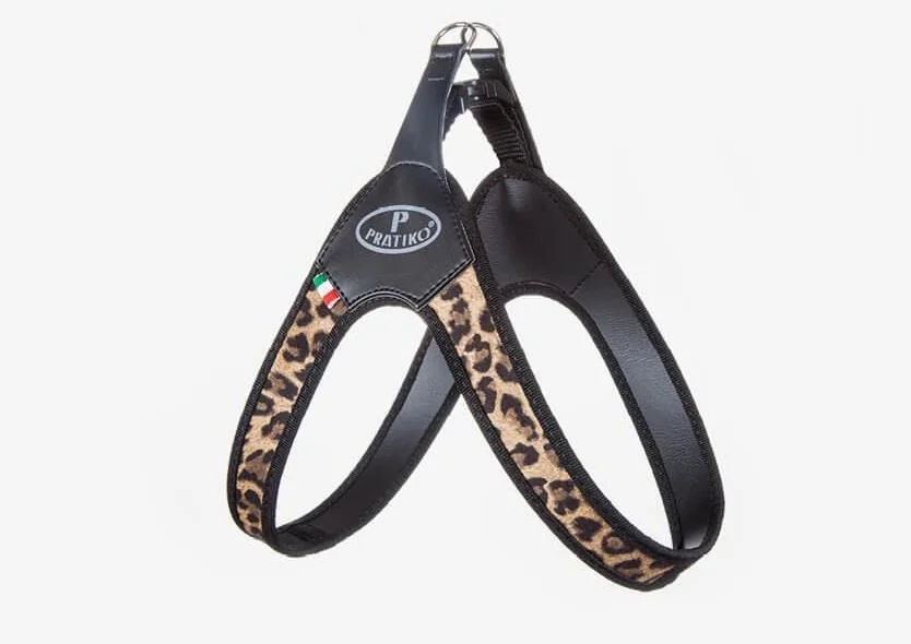 Pettorina Fashion MACULATO Marrone Taglia 2.5