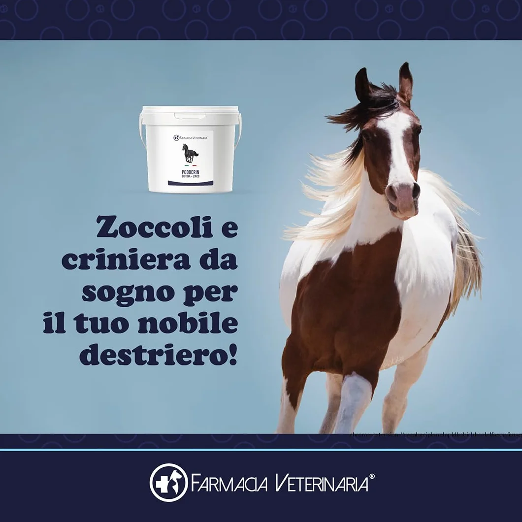 Farmacia Veterinaria Podocrin Zinco + Biotina – Zoccoli Forti e Criniera da Sogno. Integratore per Cavalli Vitamine Microincapsulate per Cavallo – Fortifica Rinforza e Protegge – Confezione 1 Kg.