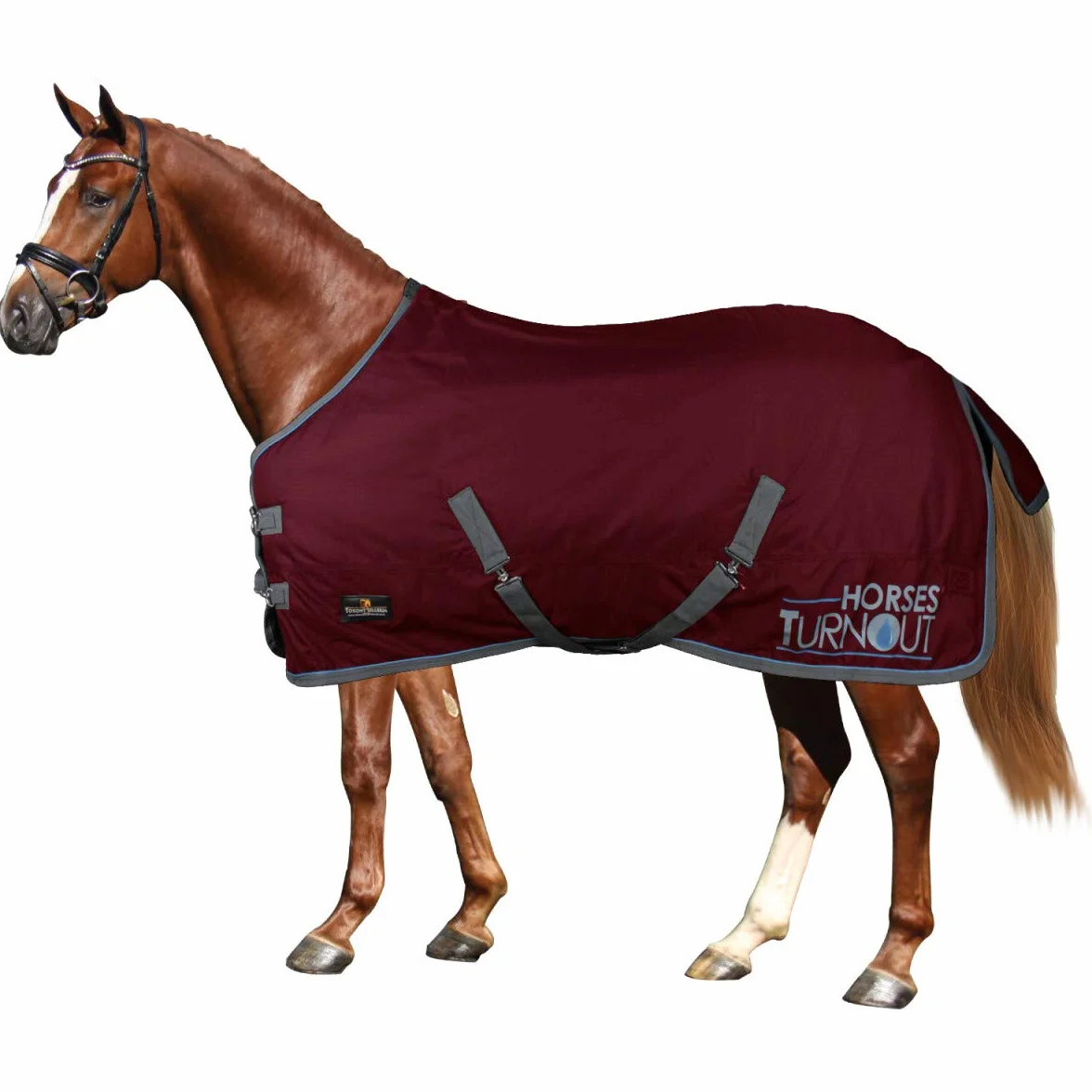 Horses, Coperta da Paddock per Cavallo Turnout 400 gr, Impermeabile, Resistente, Imbottita, con Cinghie ad Incrocio, BORDEAUX, 155 cm