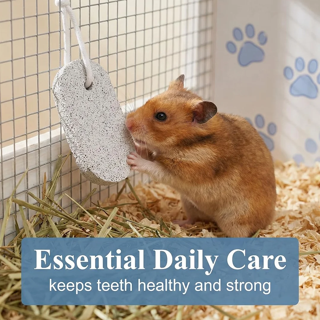 6 Pezzi Pietra per la Masticazione Degli Animali Domestici Masticabili per Animali Domestici Pietra Minerale al Calcio per Criceti Conigli e Cincillà Sicure e Naturali per Dentale