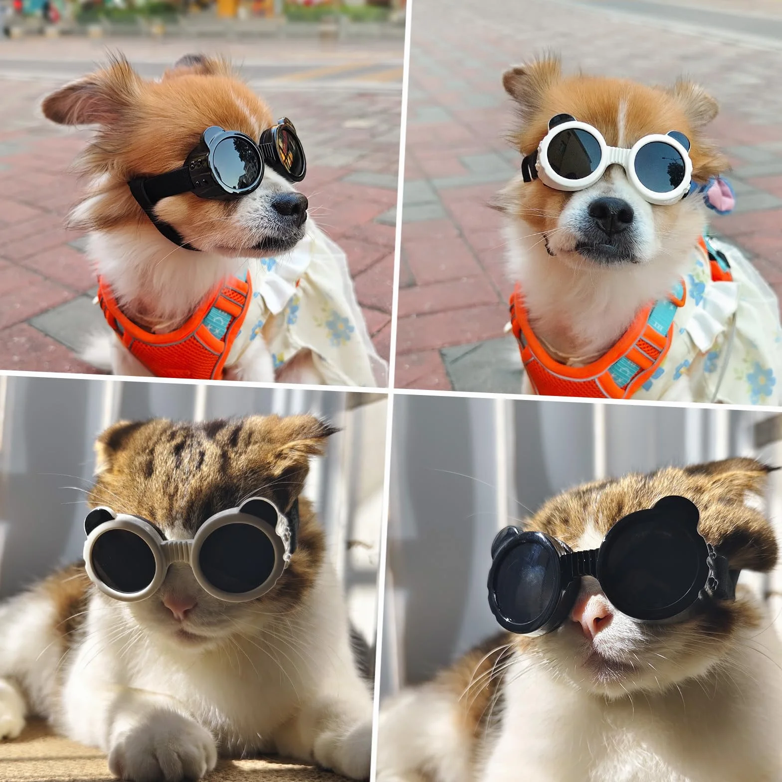 NAMSAN Occhiali da Sole per Cani di Piccola Taglia - Montatura Rotonda, Protezione UV - Nero