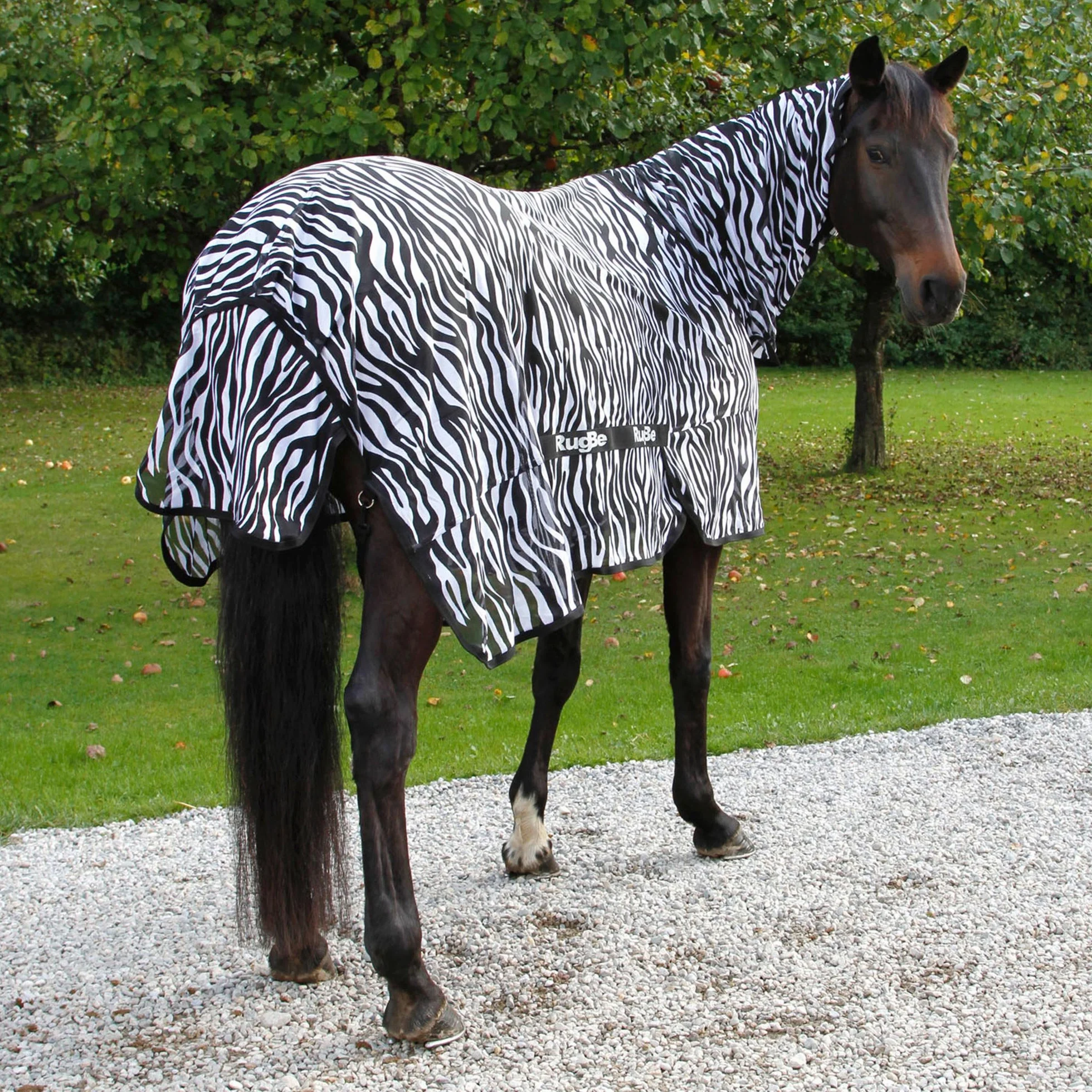 Kerbl RugBe Zebra, coperta anti-mosche per cavalli bianca/nera, lunghezza dorso 155 cm, totale 205 cm, protezione UV 90% (UPF 16), chiusura a strappo, lavabile a 30 °C.