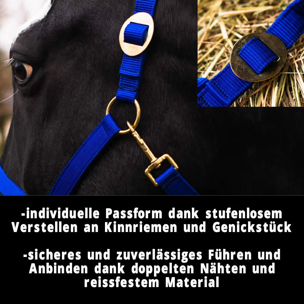 Cavezza per Cavallo - Stalla e Pascolo Con 2 Posizioni Regolabili su Sottogola e Nuca, Sicura e Antistrappo, per Sangue Caldo, Purosangue, Freddo (Blu Reale)