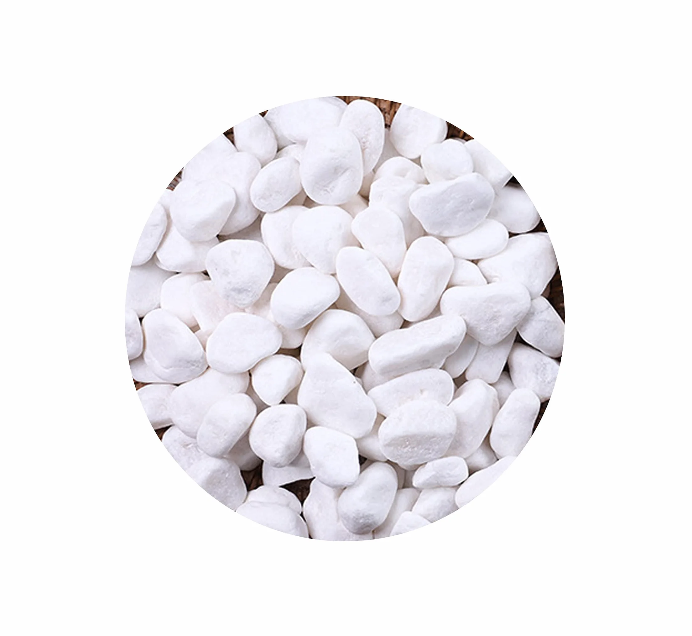 Ghiaia Bianca Naturale per Acquario Giardino Decorazione 900g