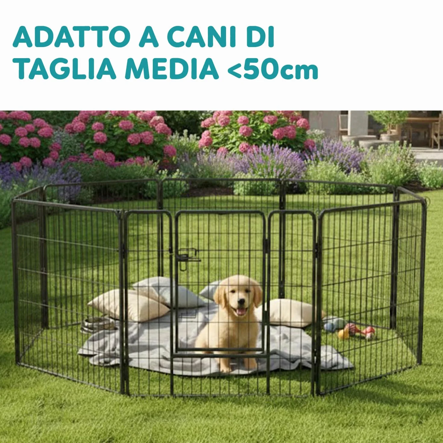 AQPET Recinto Modulare 80x80 cm per Cani, Gatti, Conigli e Roditori - 8 Pannelli Resistenti per Interno ed Esterno, Sicuro e Facile da Montare, Ideale per Casa e Giardino